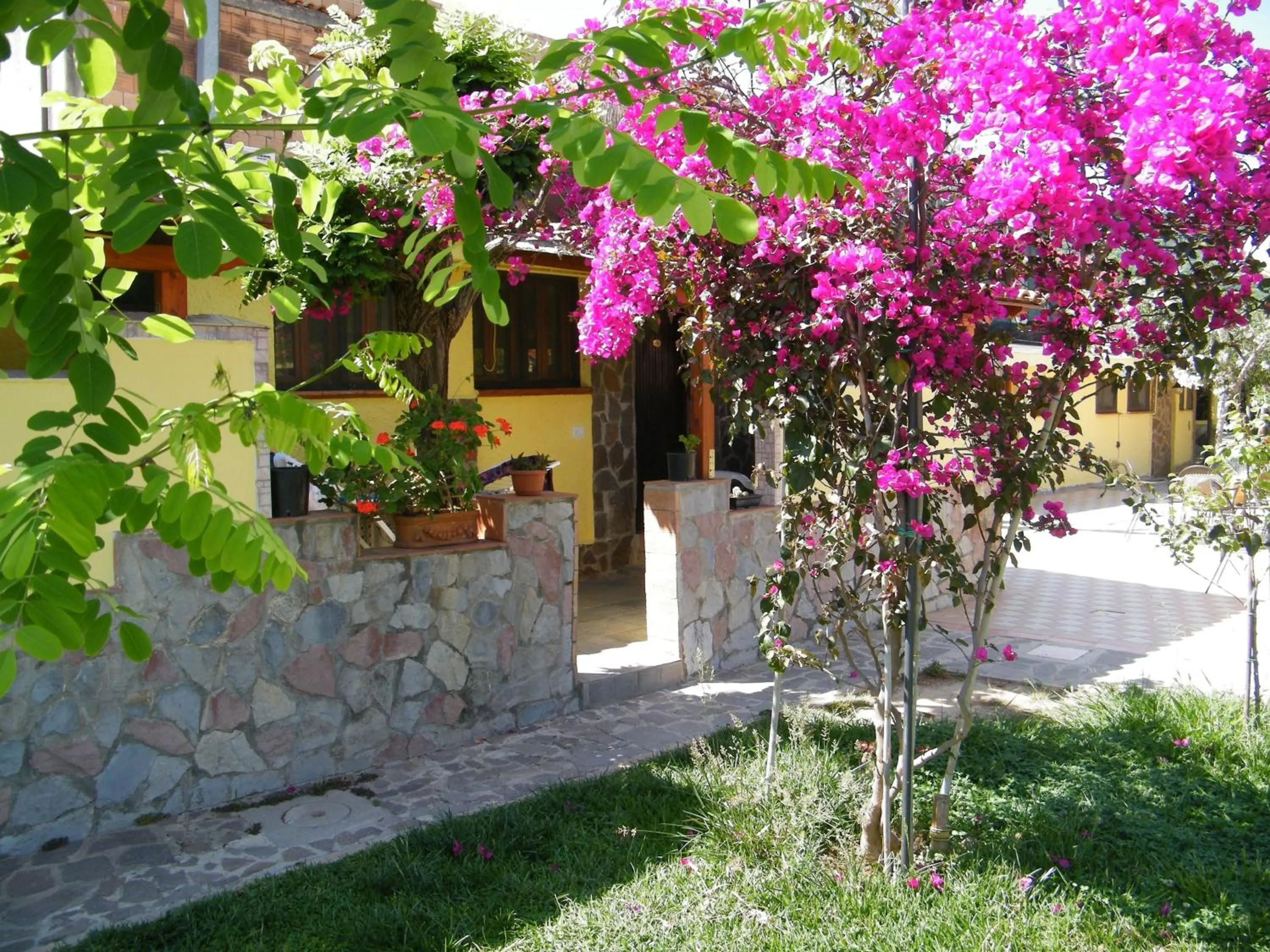 Garden in Hotel Villaggio Tabù
