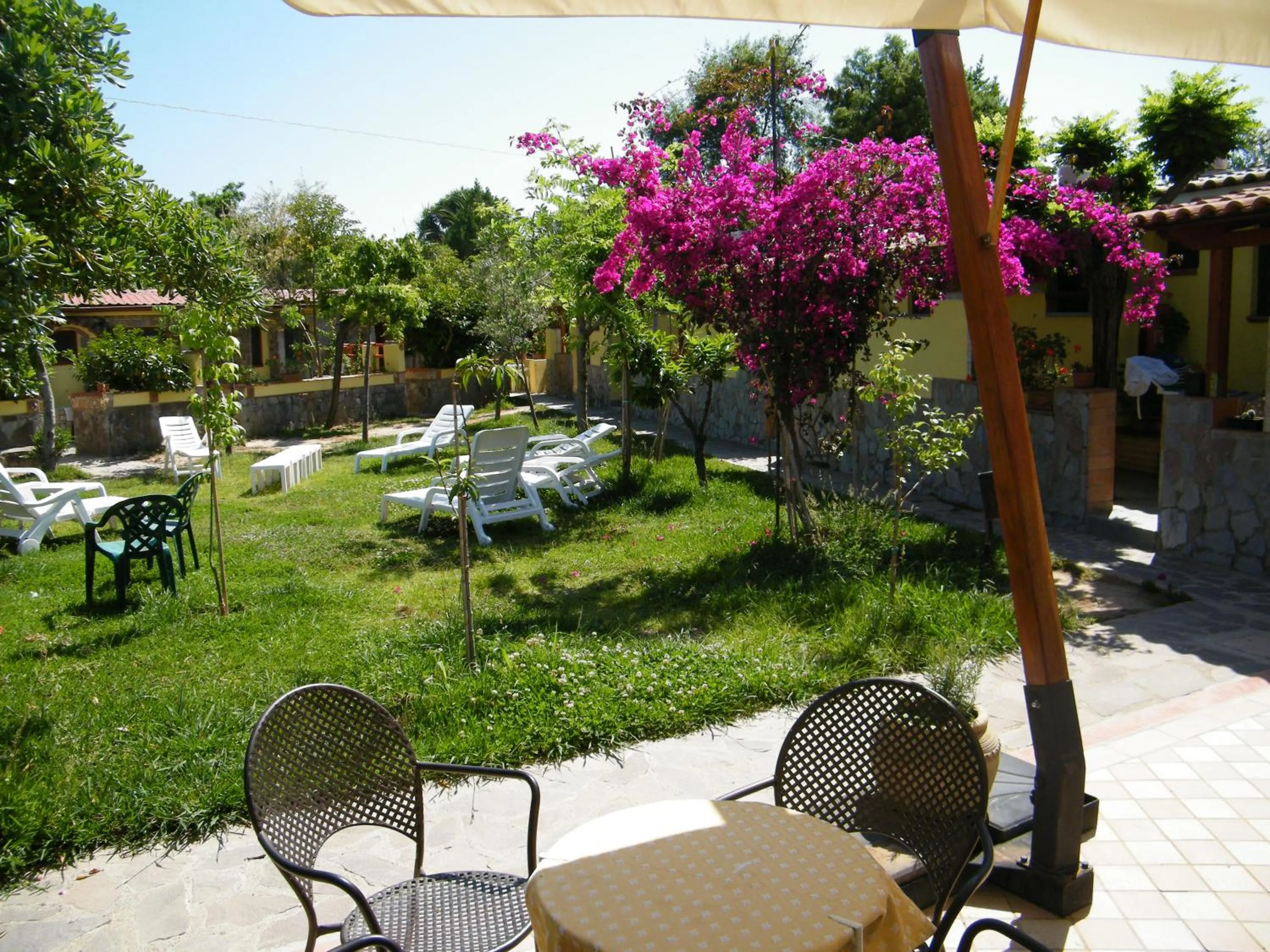 Garden in Hotel Villaggio Tabù