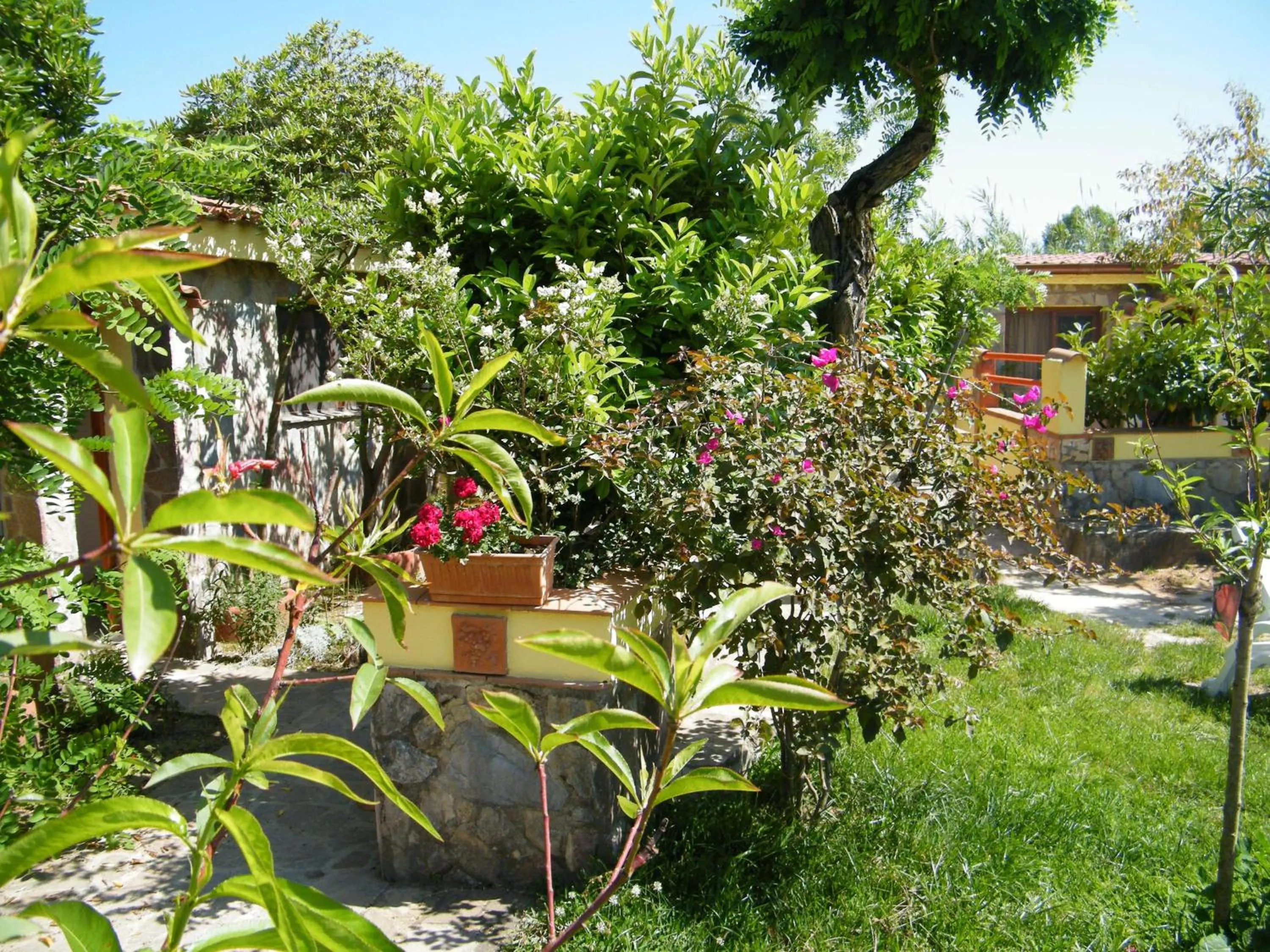 Garden in Hotel Villaggio Tabù