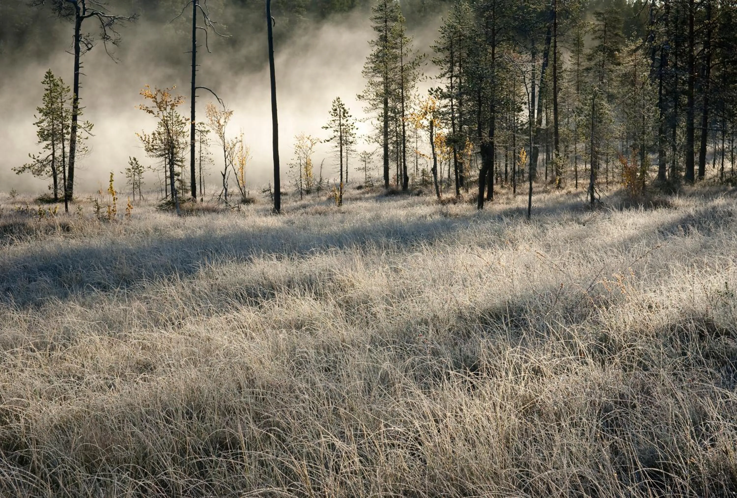 Area and facilities in Holiday Club Salla Superior Apartments