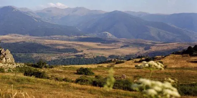 One-Bedroom Apartment without Balcony (5 people) in Residence The Catalogne One-Bedroom Apartment without Balcony (5 people) in Residence The Catalogne