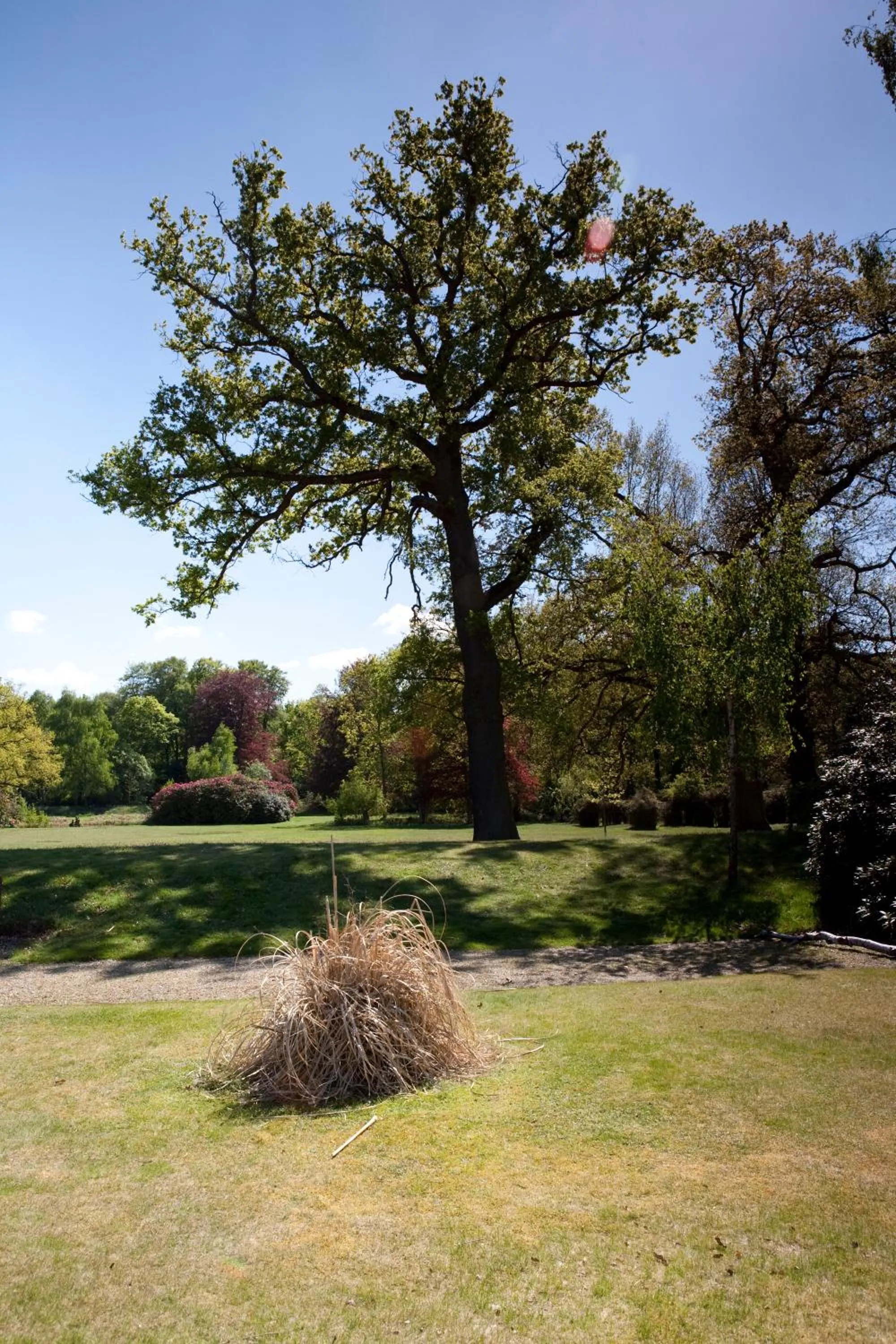 Day in Petwood Hotel