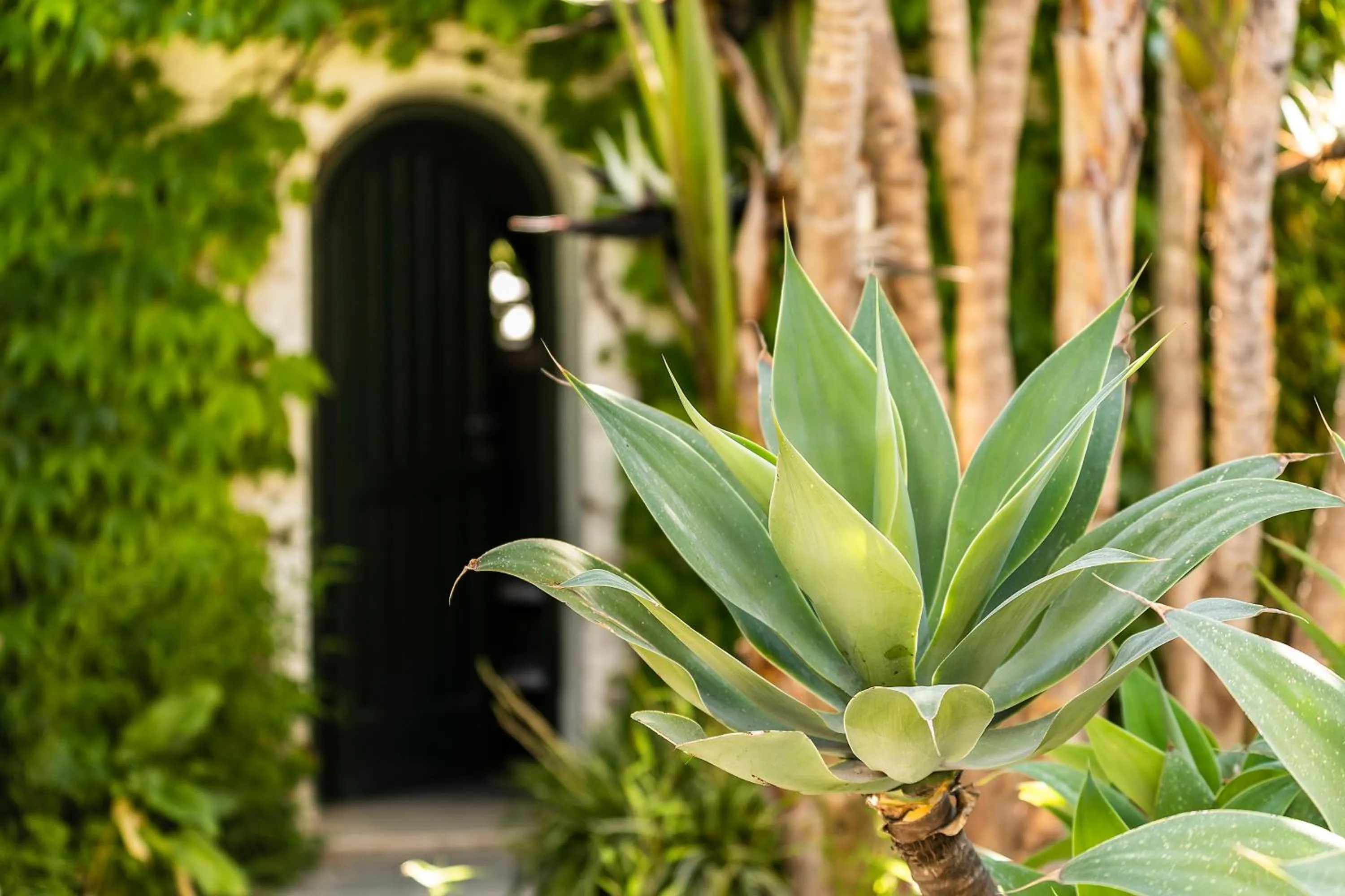 Garden in Botania Relais & Spa - The Leading Hotels of the World