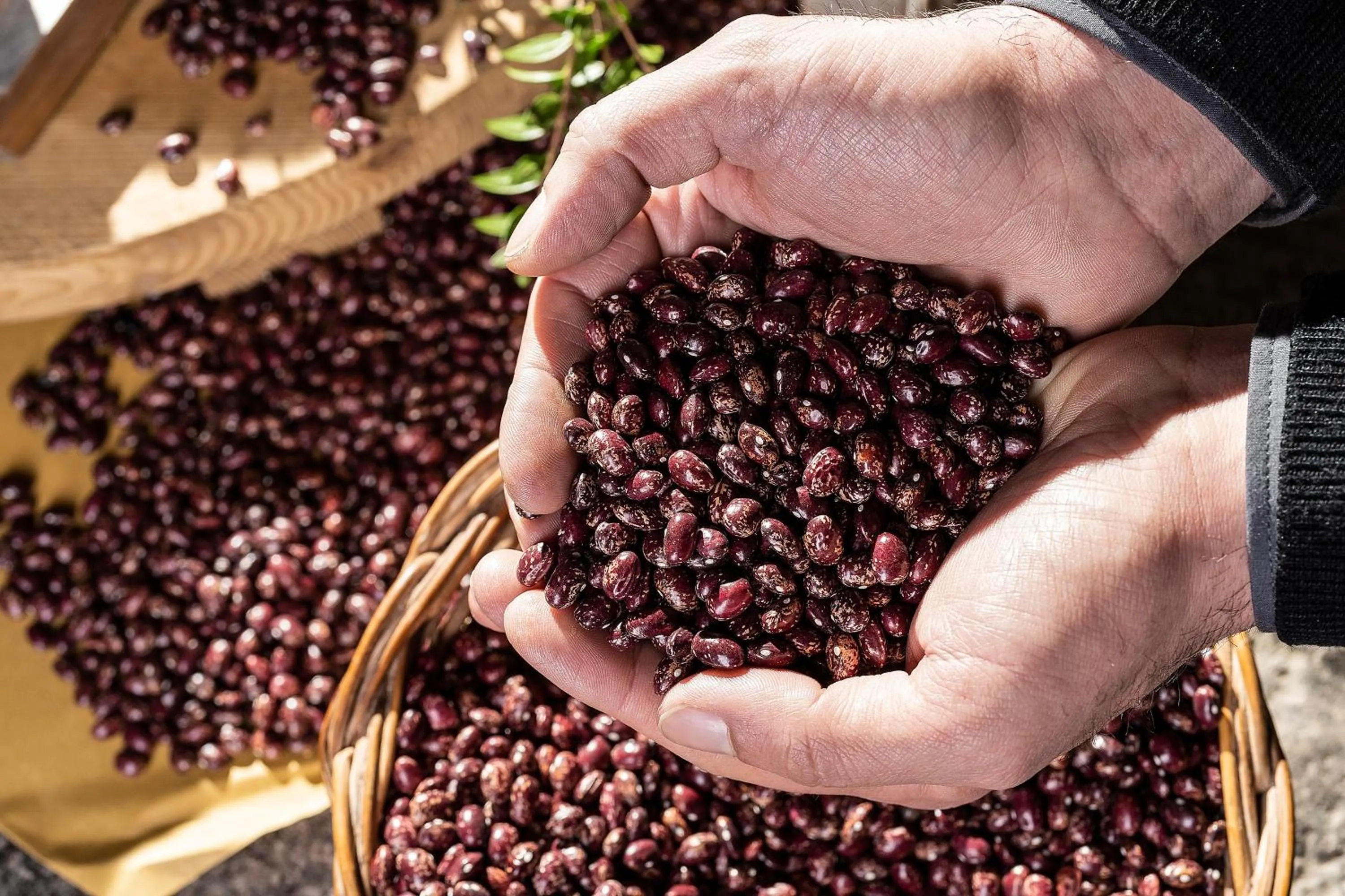 Garden in Botania Relais & Spa - The Leading Hotels of the World