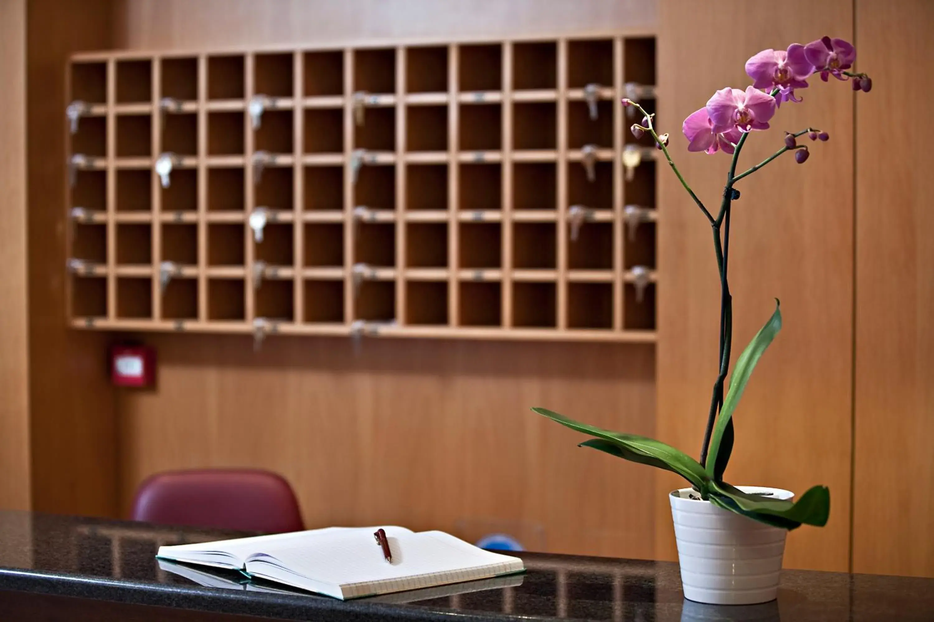 Lobby or reception in Stalis Hotel Lobby or reception in Stalis Hotel