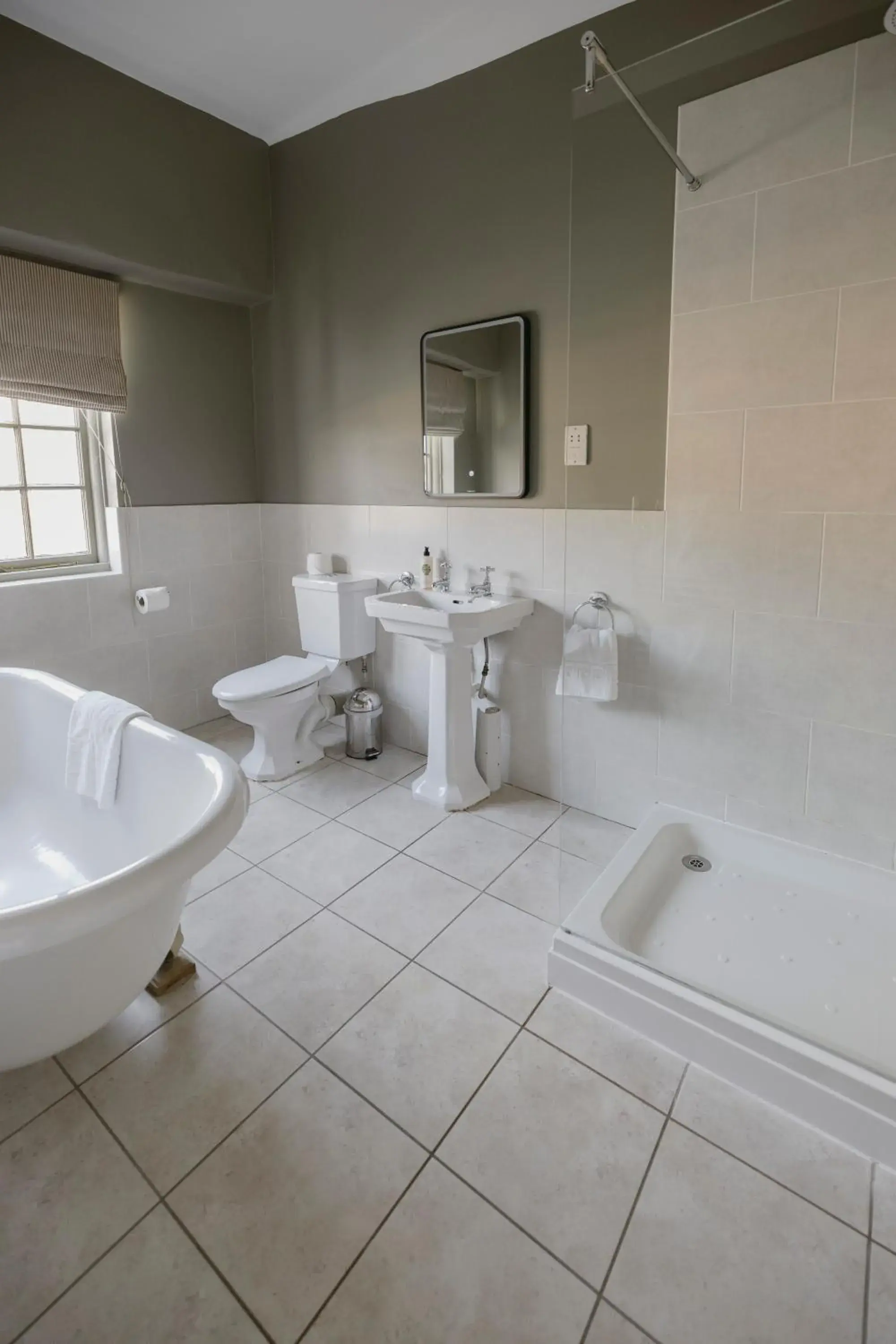 Stag in The Bull And Swan Stag in The Bull And Swan