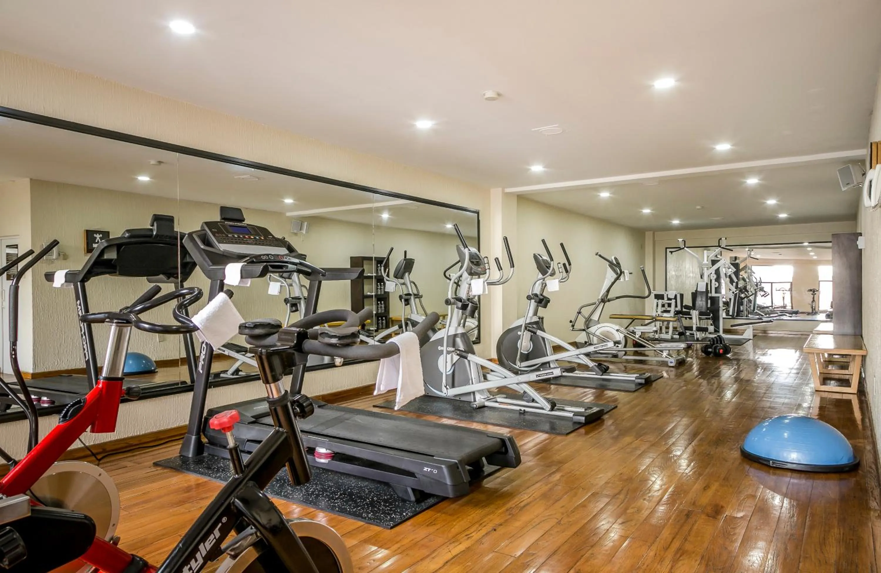 Fitness centre/facilities in Imperio de Angeles Executive León Poliforum