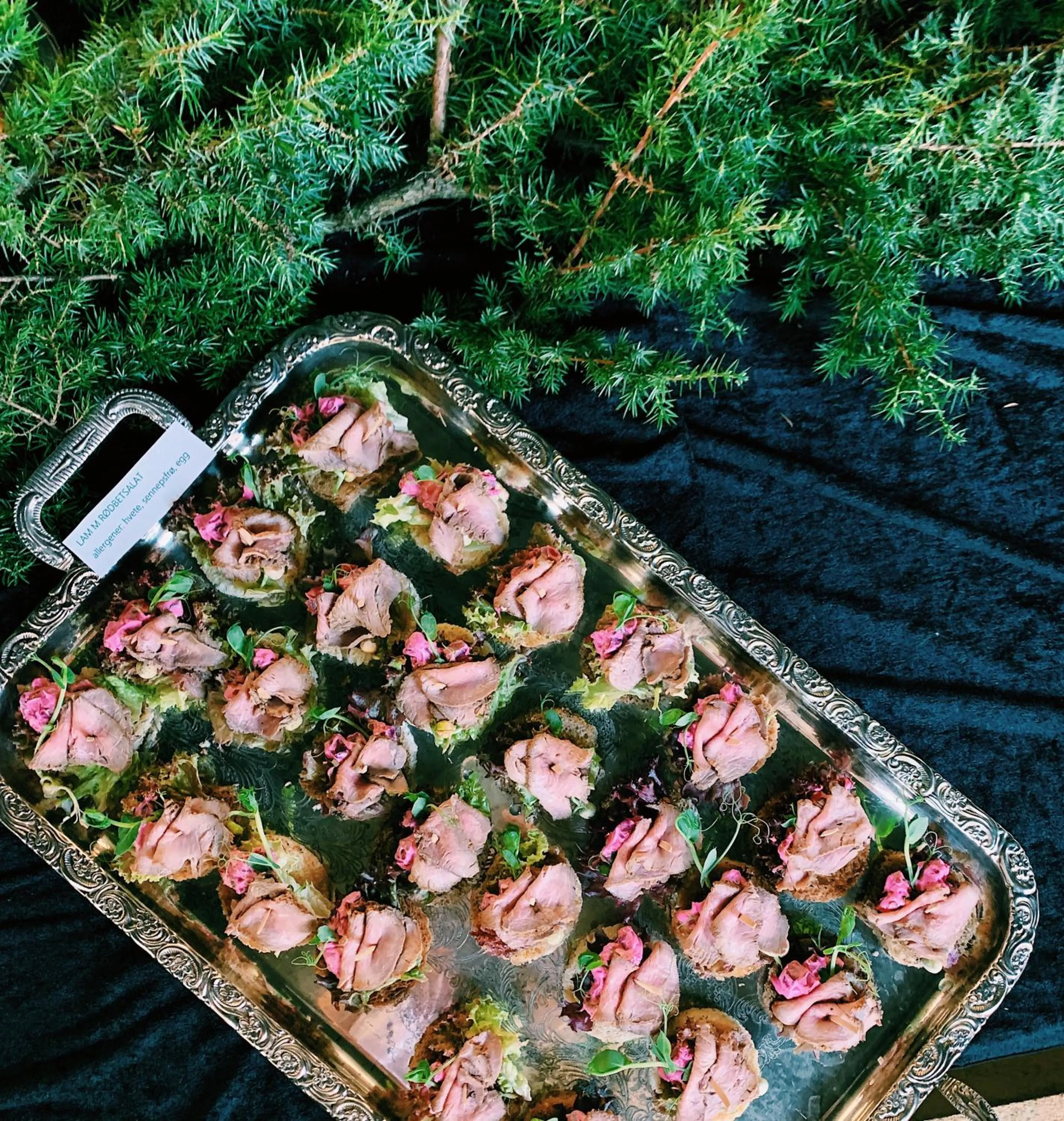 Meals in Rødberg Hotel