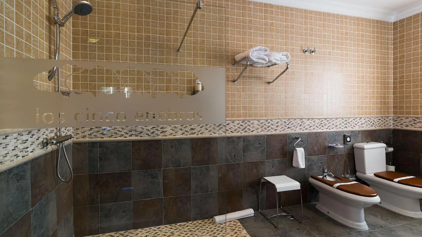 Toilet in Los Cinco Enebros