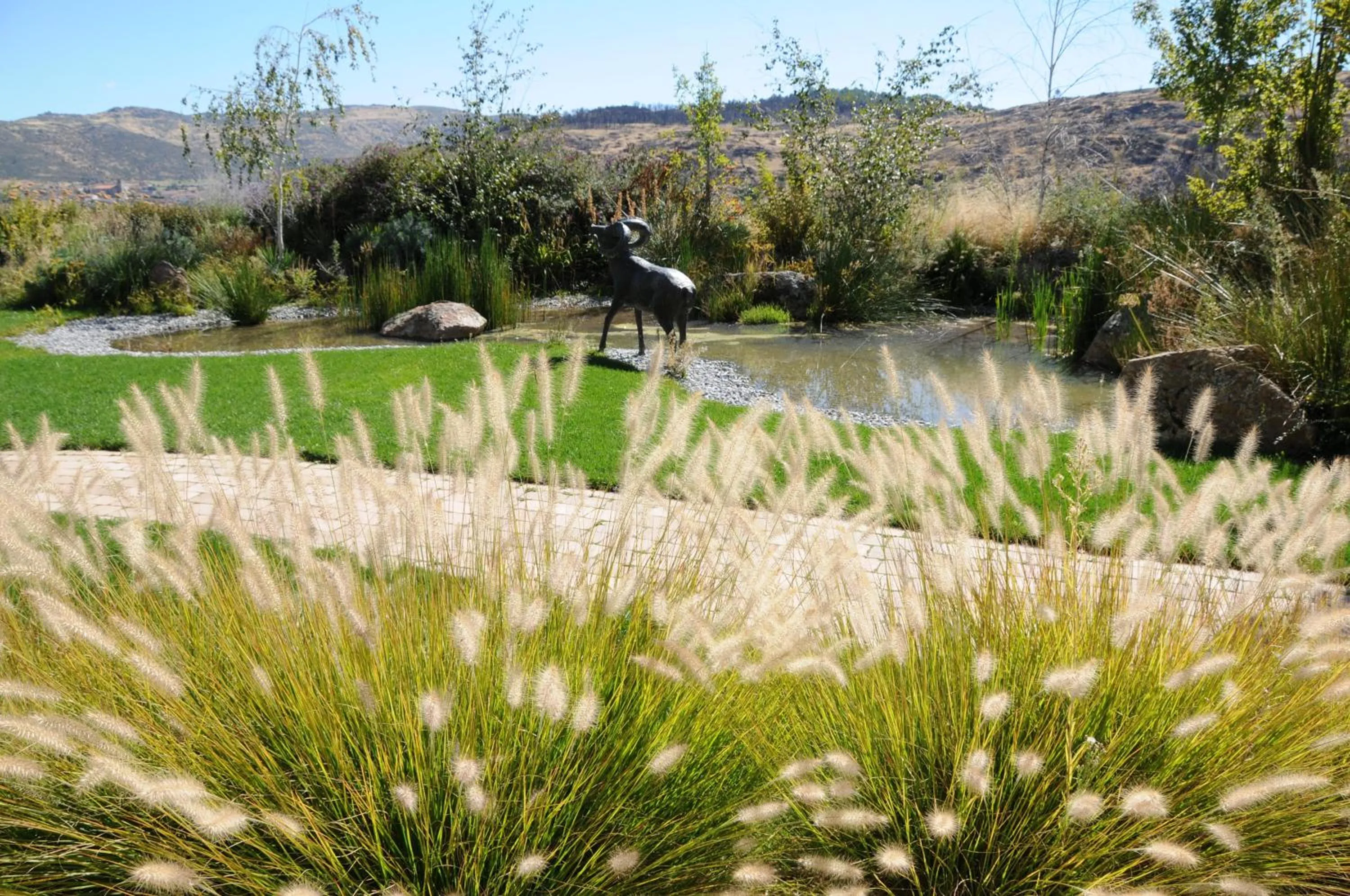 Garden in Los Cinco Enebros