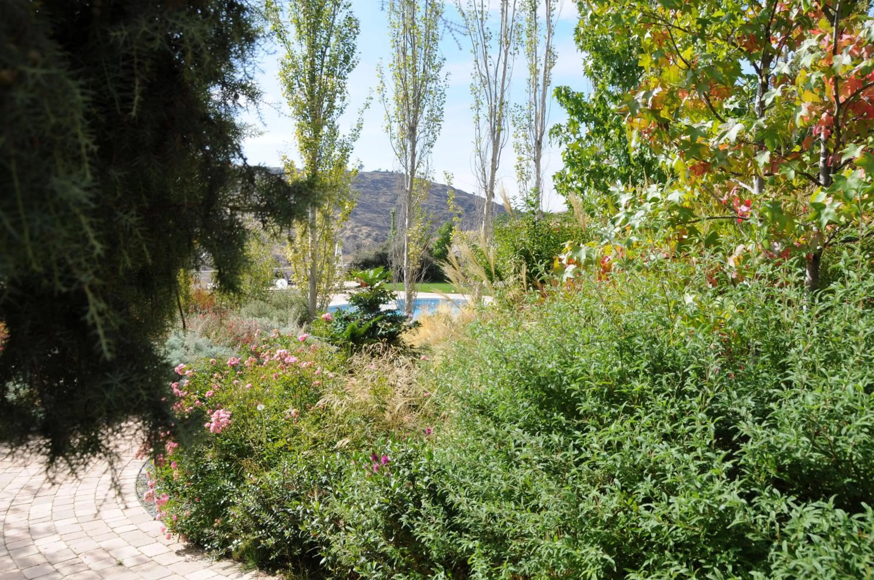 Garden in Los Cinco Enebros