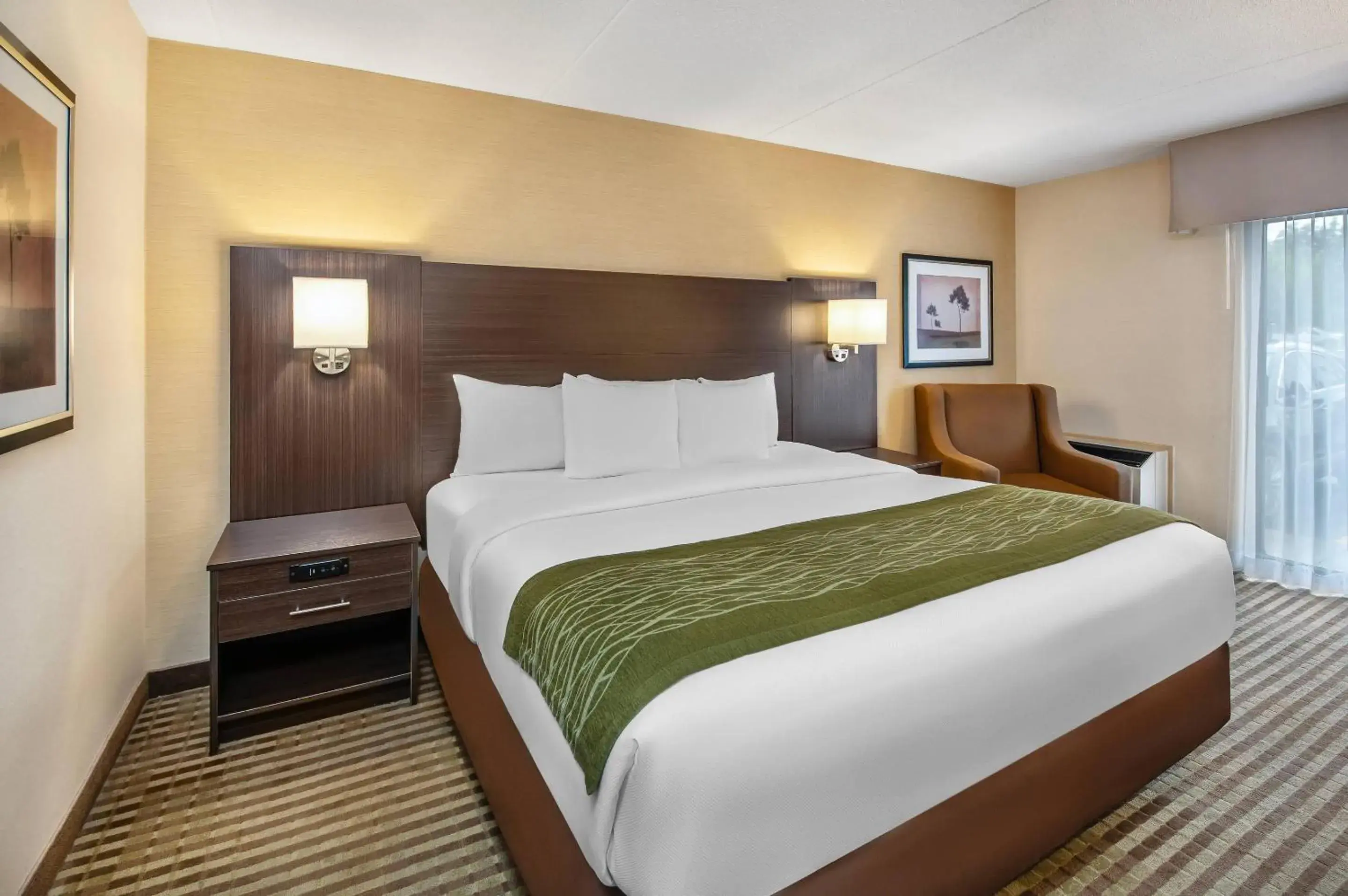 Bedroom, Bed in Comfort Inn Bedroom, Bed in Comfort Inn