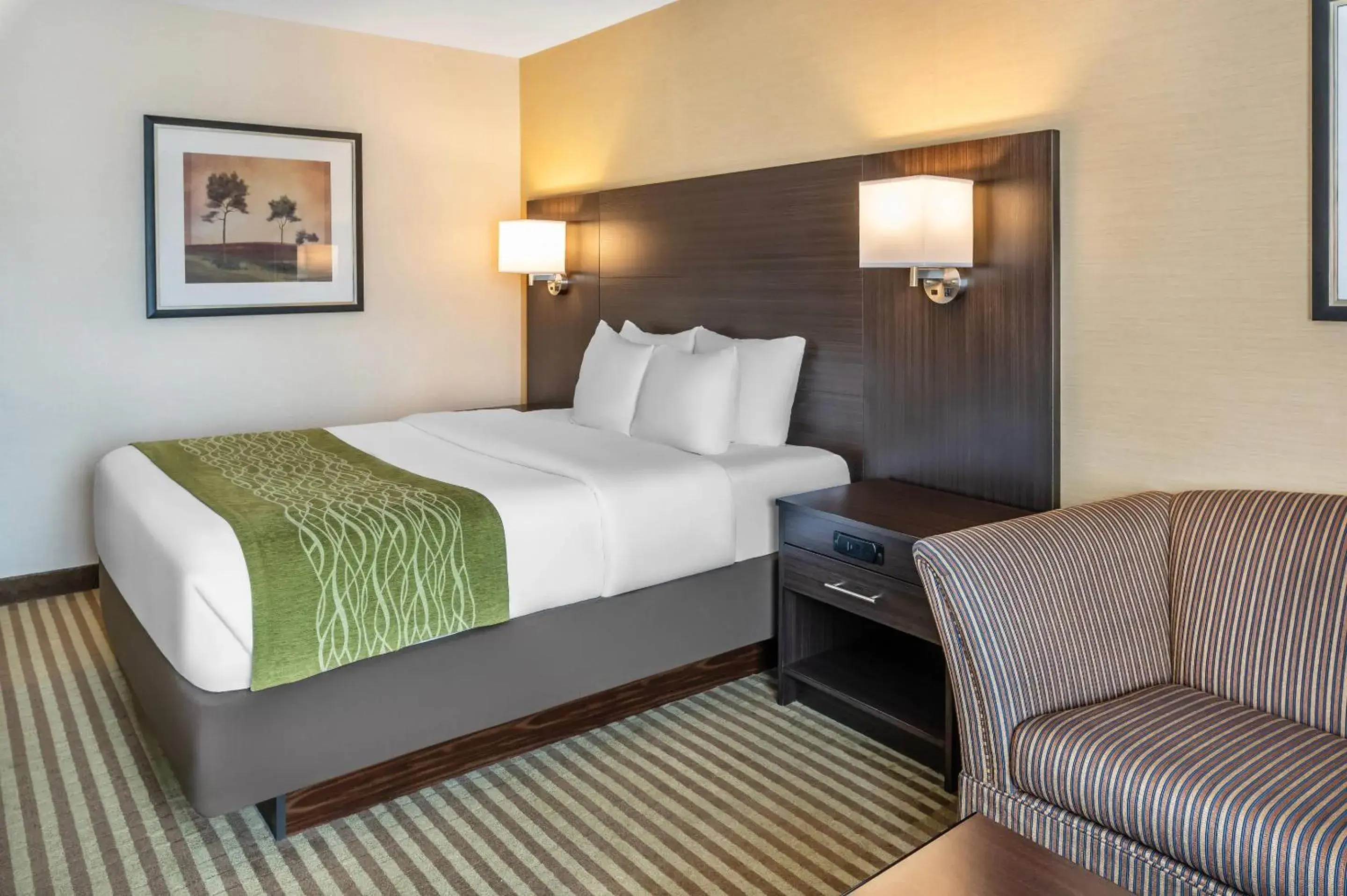 Bedroom, Bed in Comfort Inn Bedroom, Bed in Comfort Inn