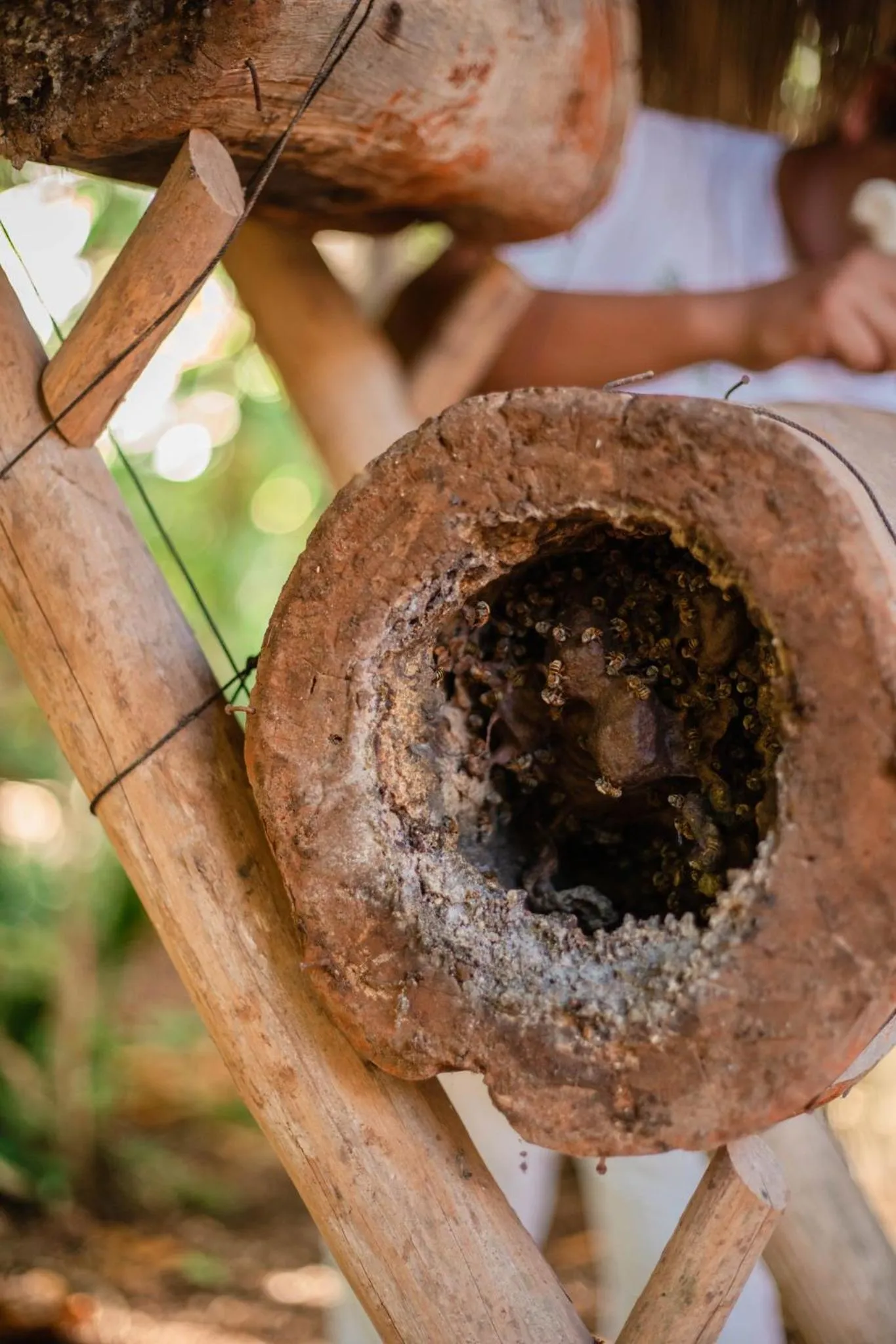 Nearby landmark in Viceroy Riviera Maya, a Luxury Villa Resort - Adults Only