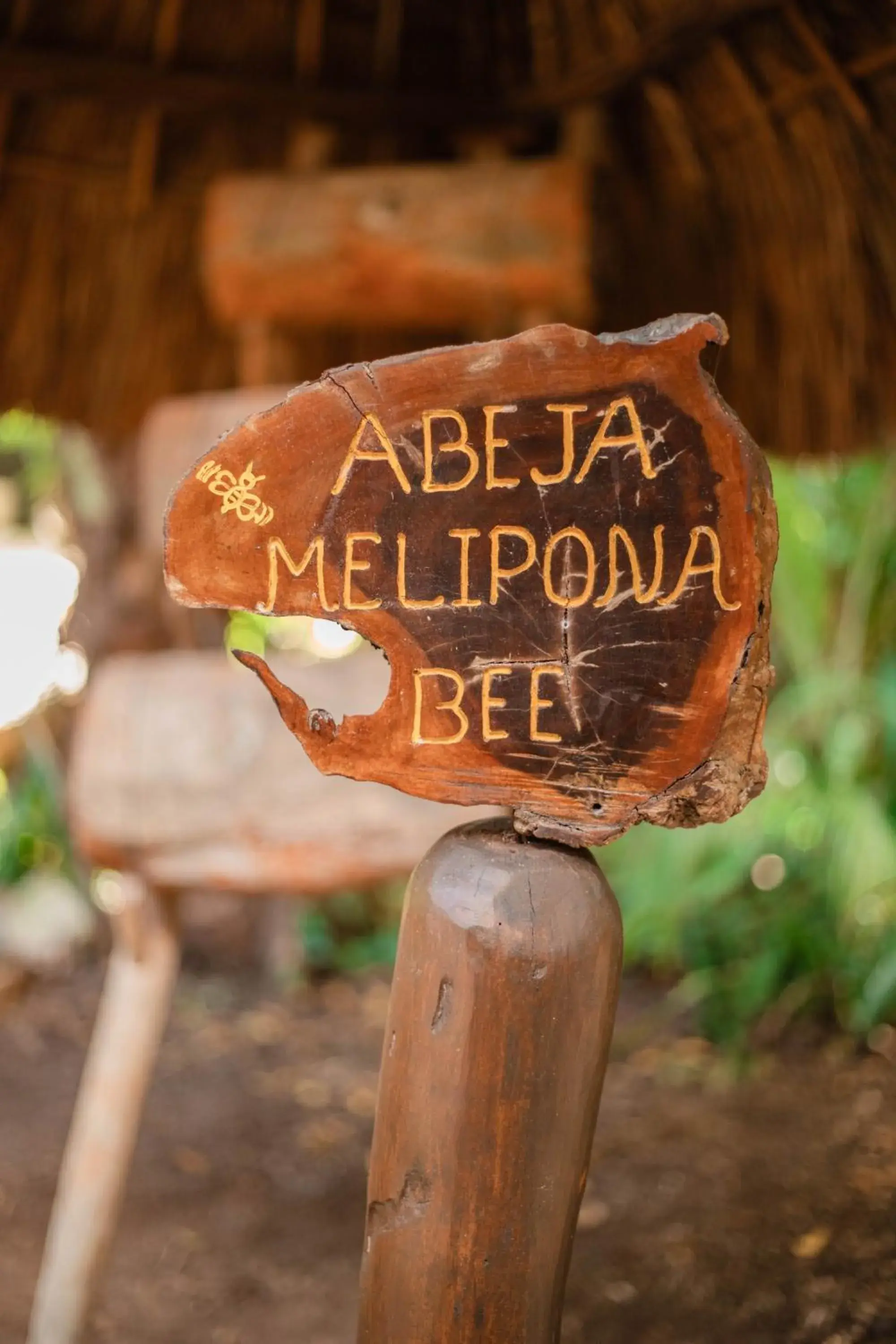 Spa and wellness centre/facilities in Viceroy Riviera Maya, a Luxury Villa Resort - Adults Only Spa and wellness centre/facilities in Viceroy Riviera Maya, a Luxury Villa Resort - Adults Only