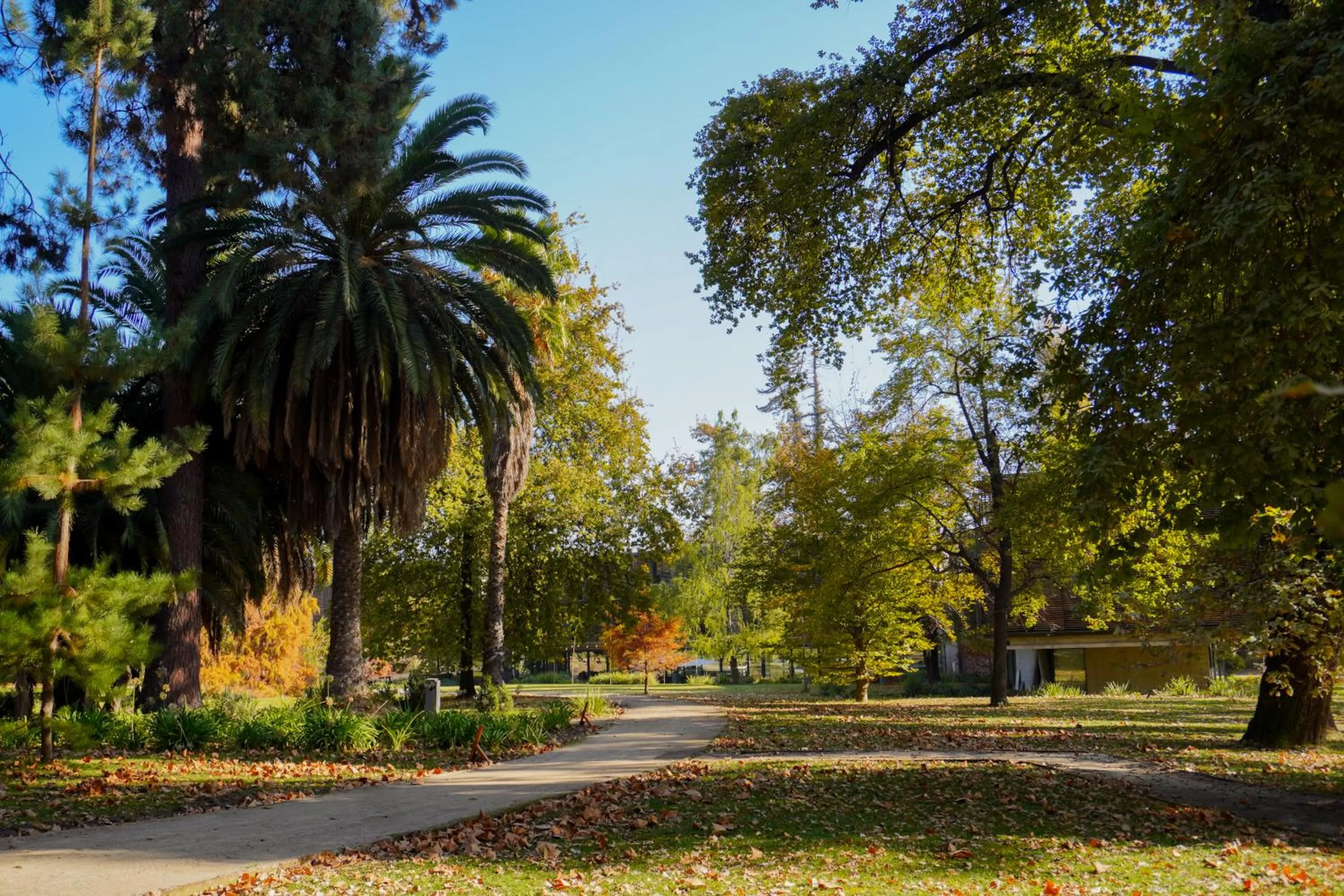 Natural landscape in Las Majadas Hotel & Centro de Reuniones
