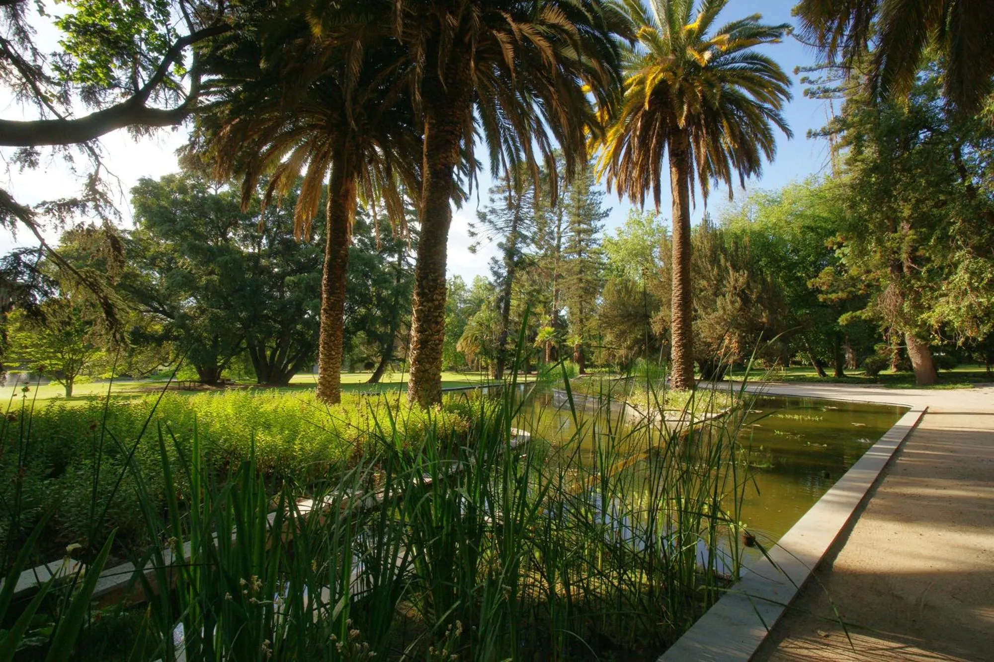 Garden in Las Majadas Hotel & Centro de Reuniones