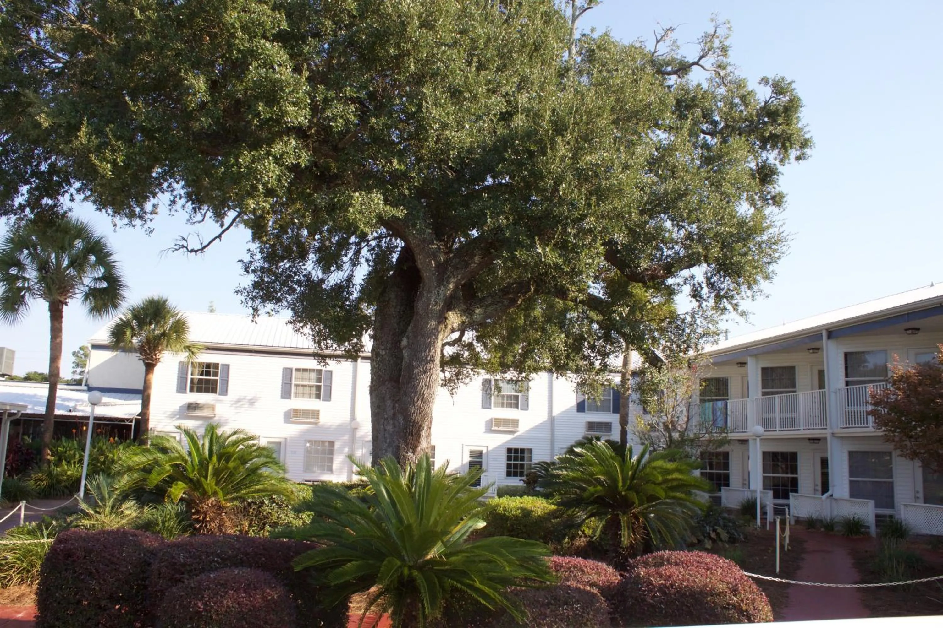 Natural landscape in Marina Bay Resort