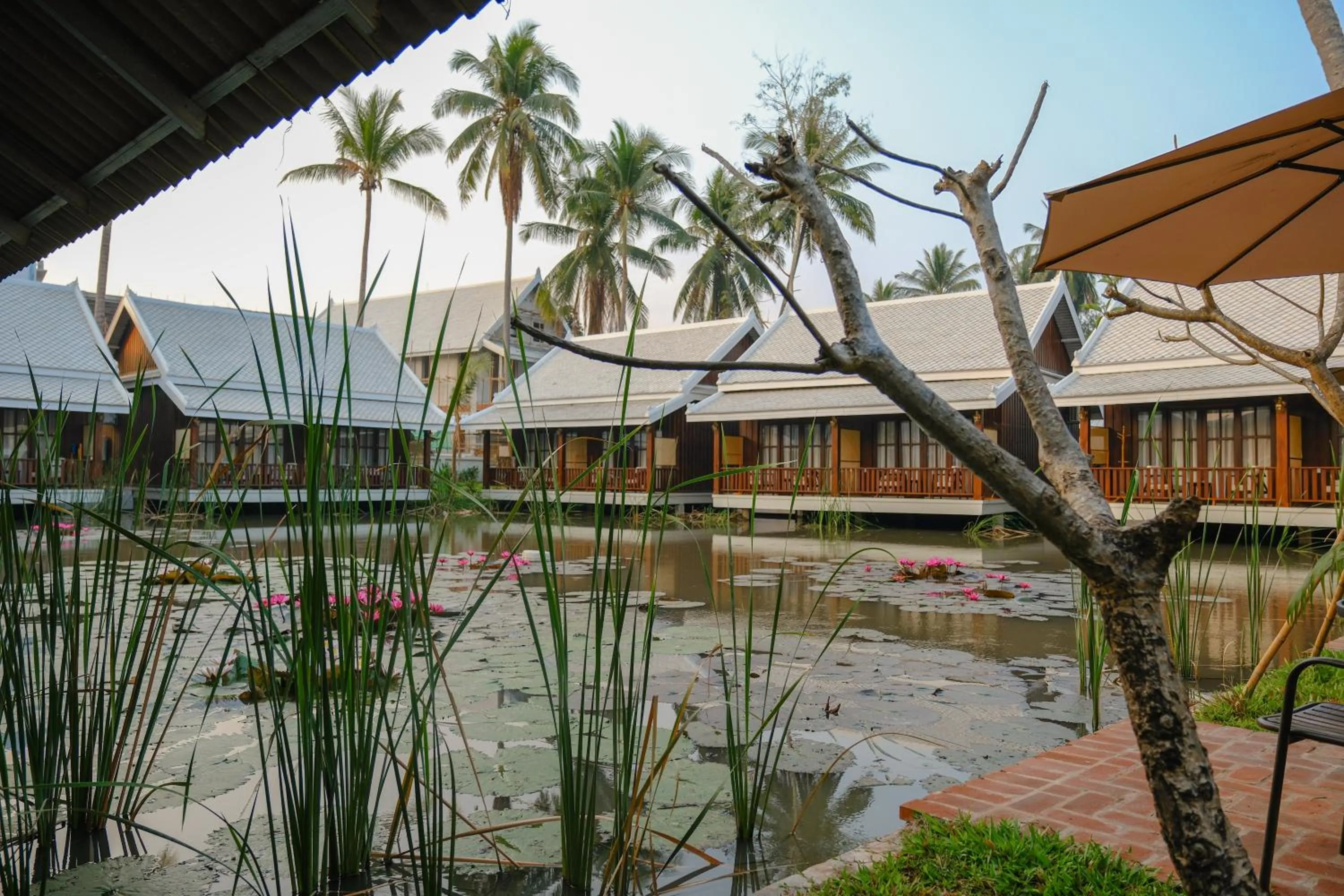 Natural landscape in Villa Oasis