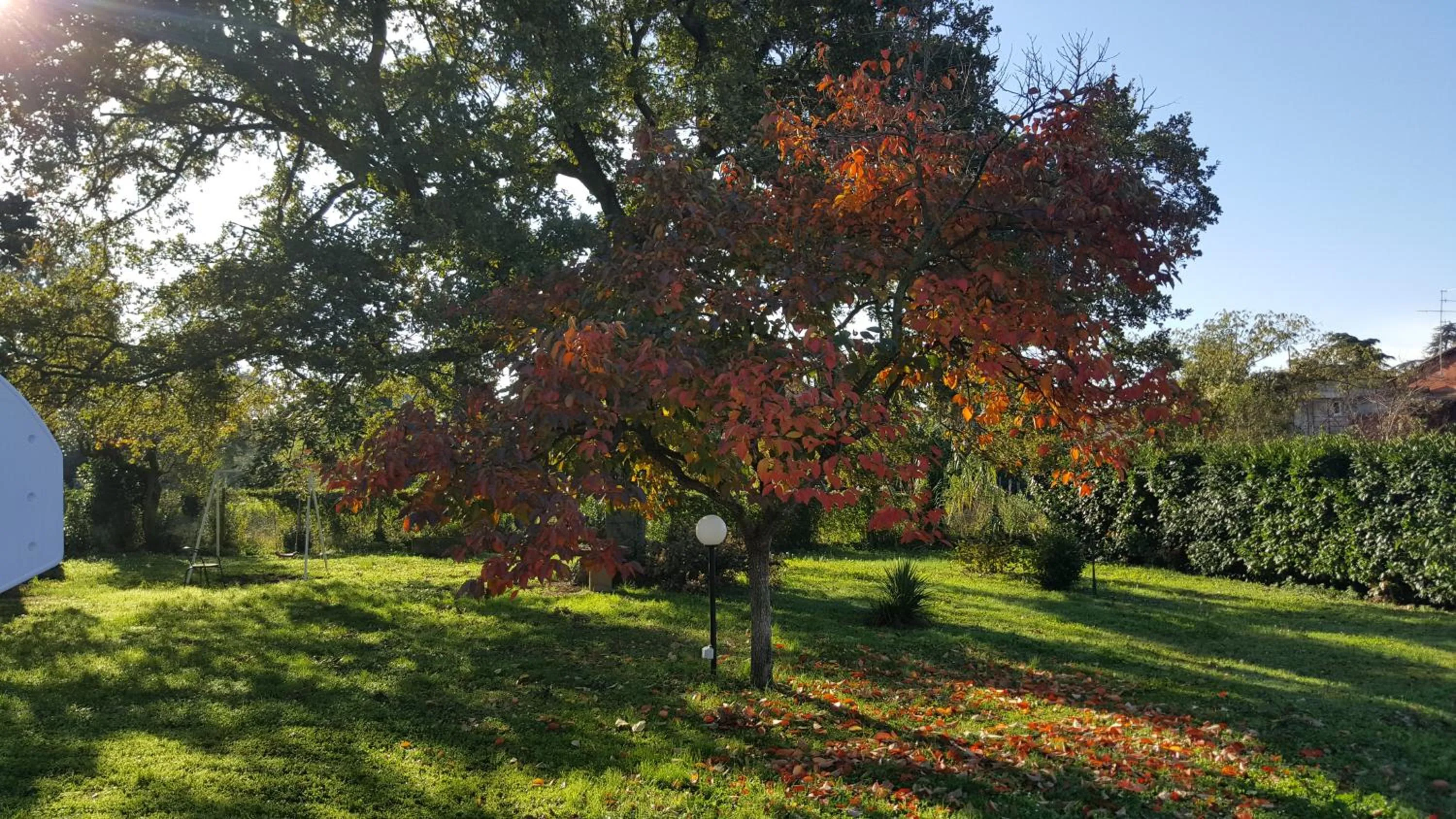 Seasons in B&B Le Cinque Querce