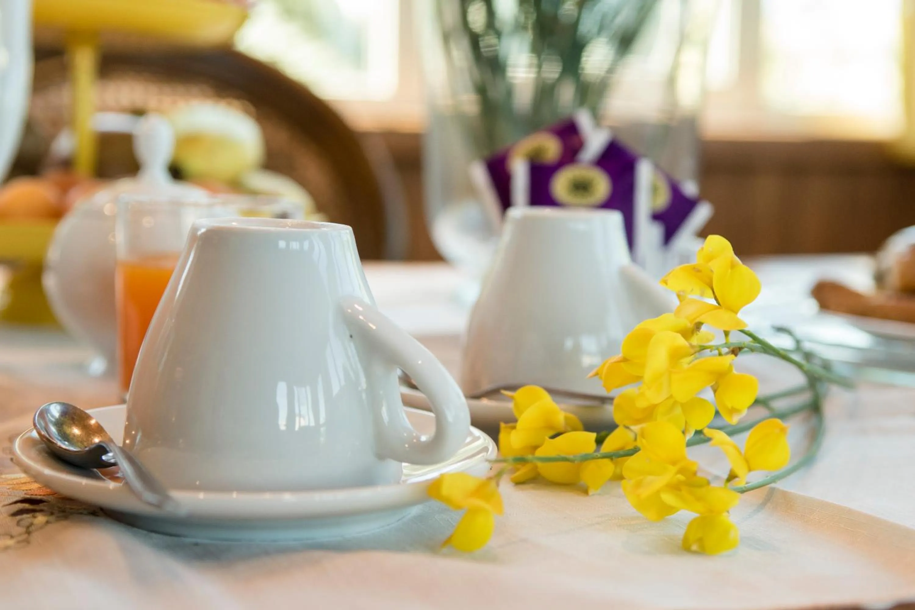 B&B Le Cinque Querce