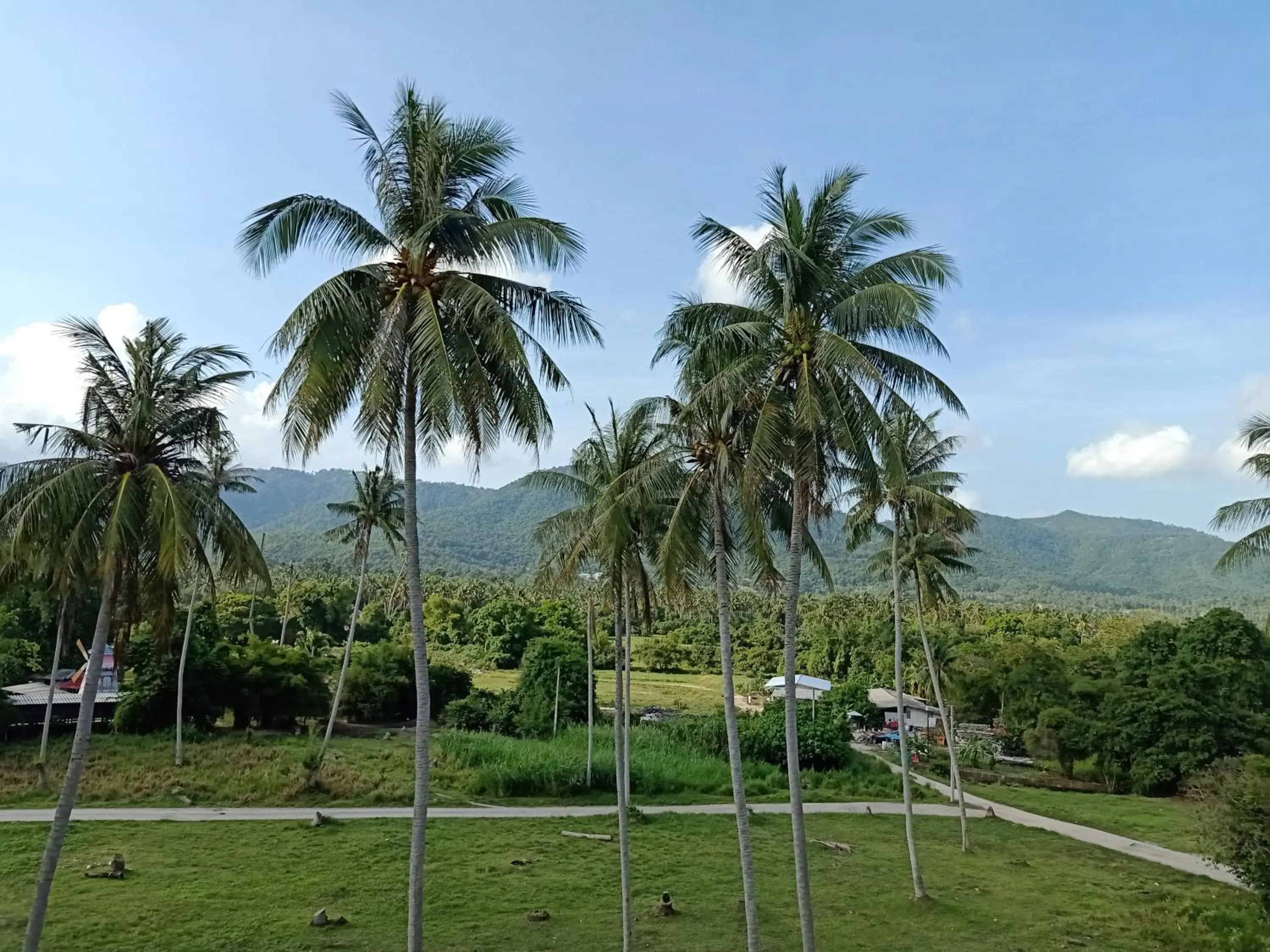 Garden view in Amarin Samui Hotel - SHA Plus Certified Garden view in Amarin Samui Hotel - SHA Plus Certified