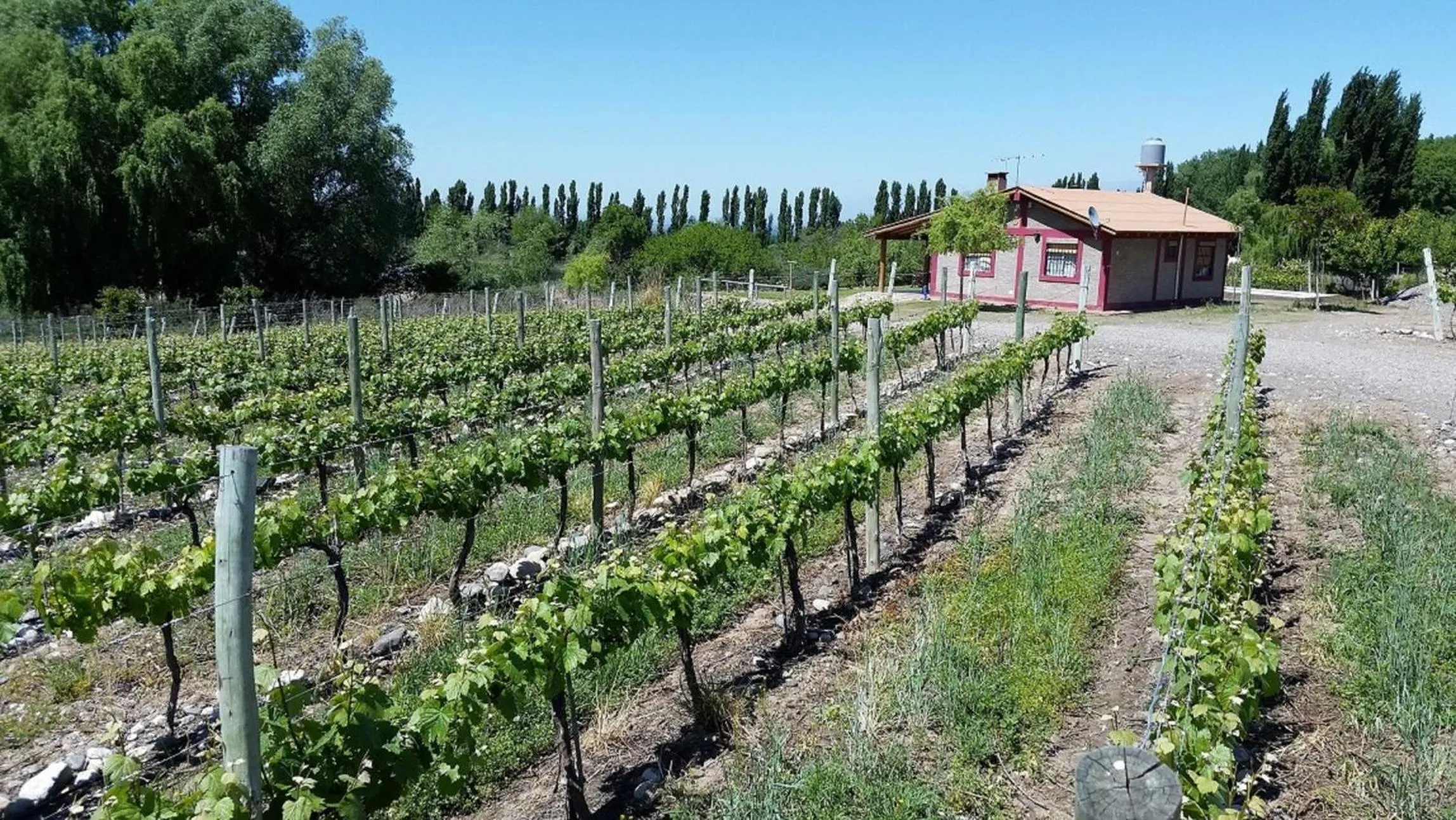 Natural landscape in Cabaña del Alto Tupungato