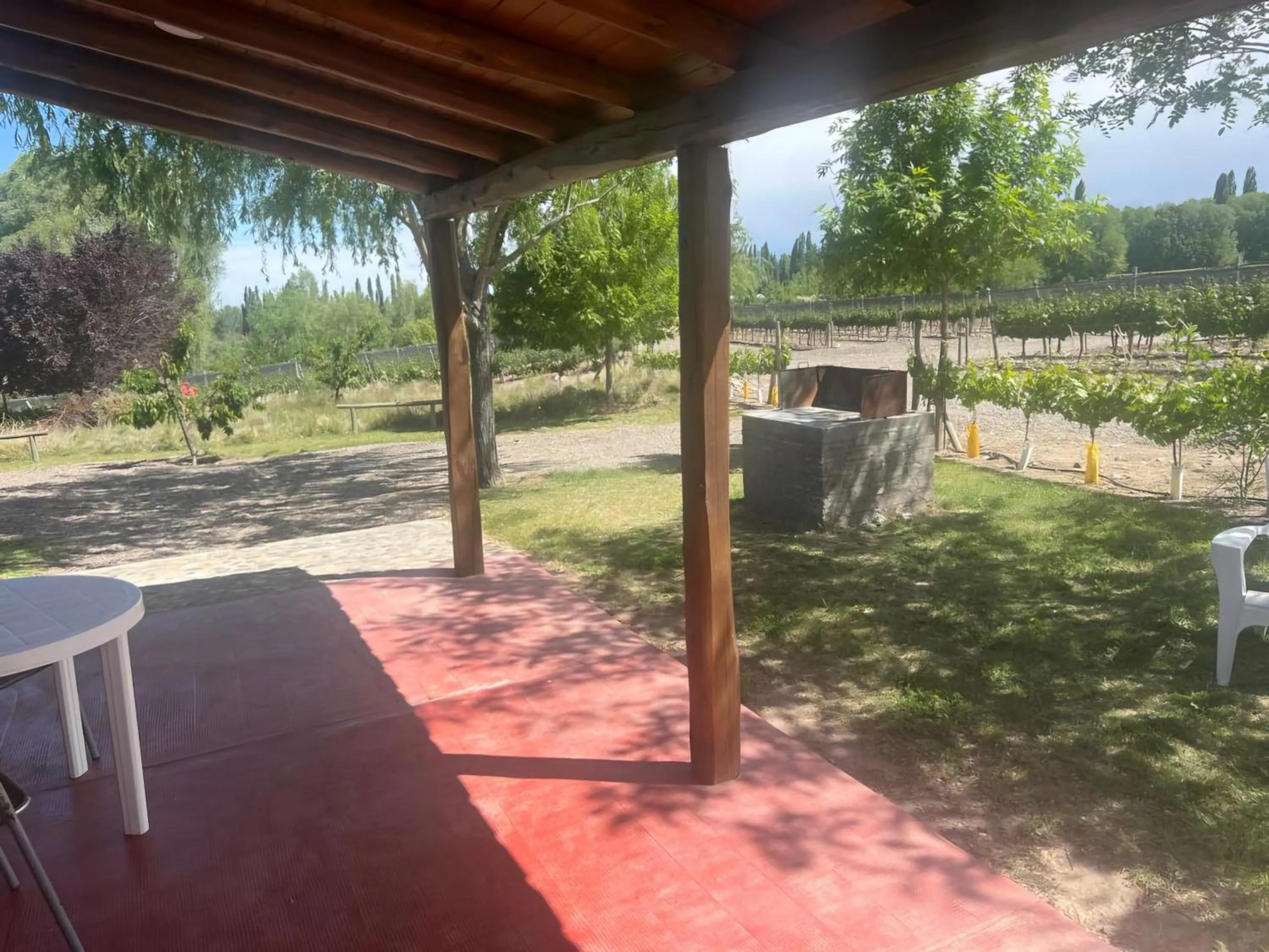 Garden view in Cabaña del Alto Tupungato