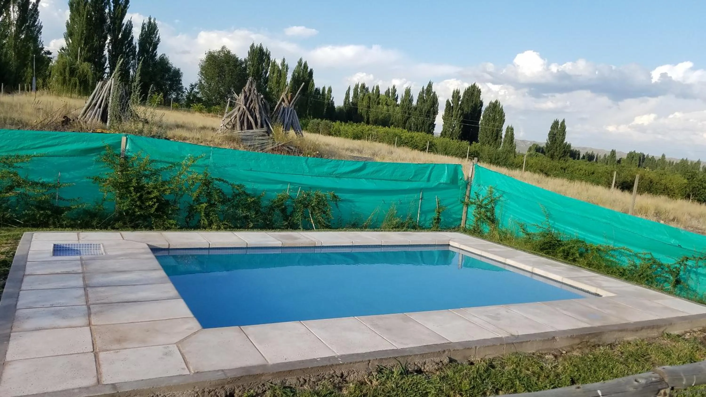Pool view in Cabaña del Alto Tupungato