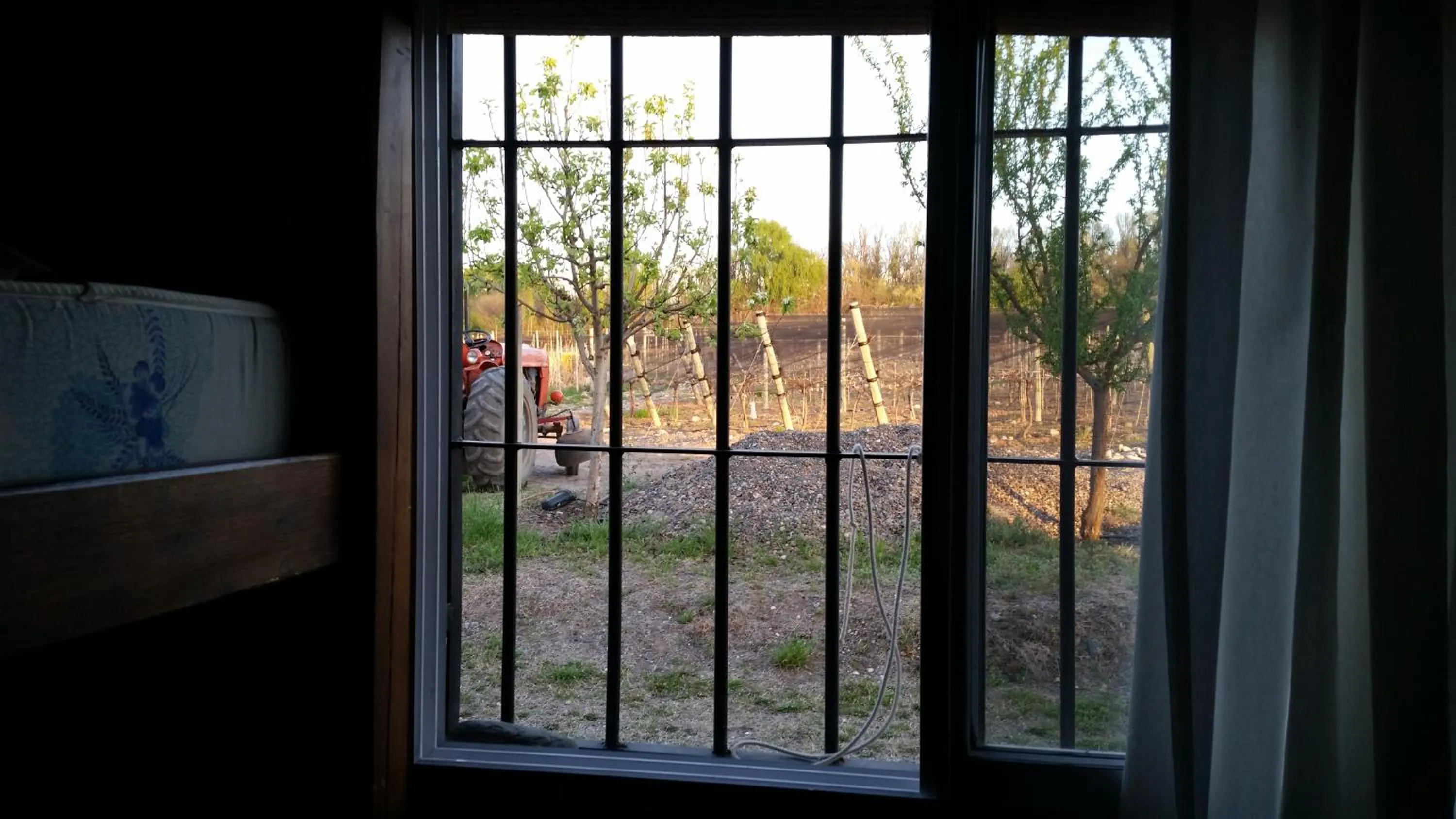 Garden view in Cabaña del Alto Tupungato