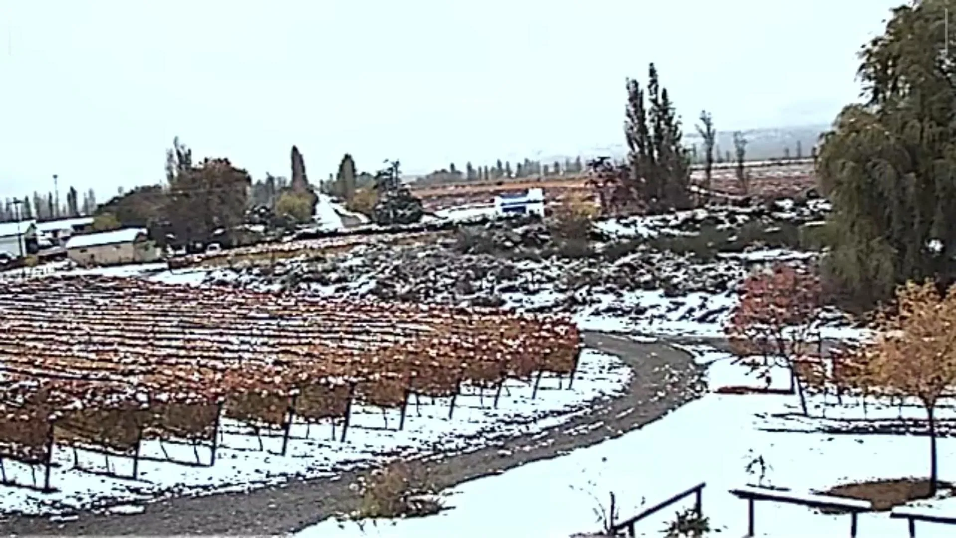 Winter in Cabaña del Alto Tupungato