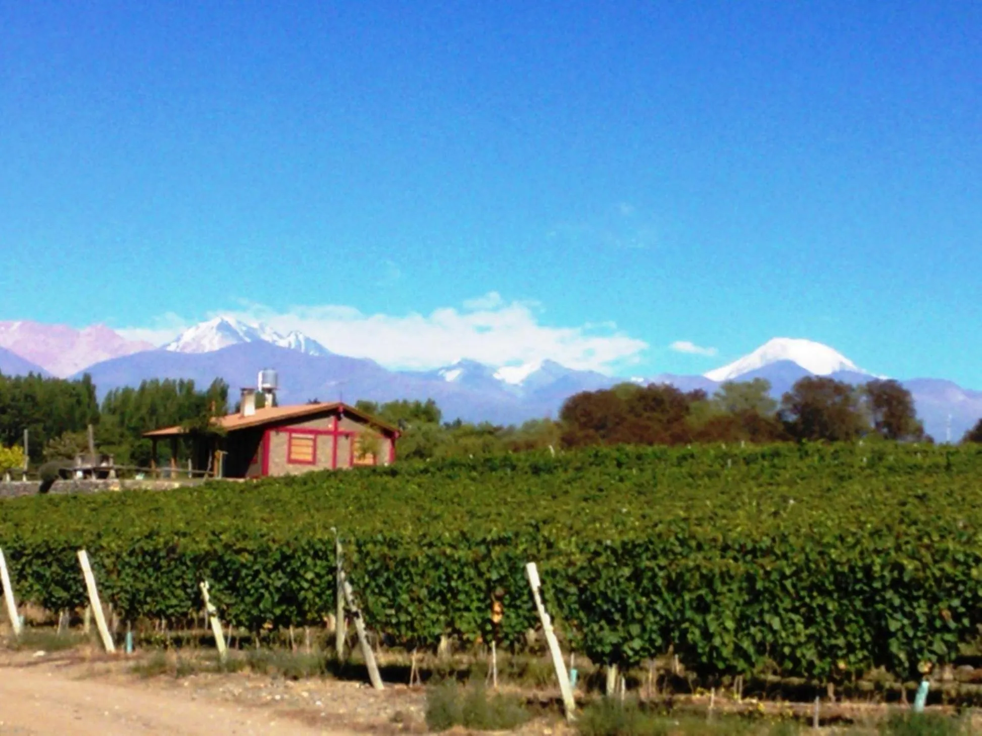 Mountain view in Cabaña del Alto Tupungato