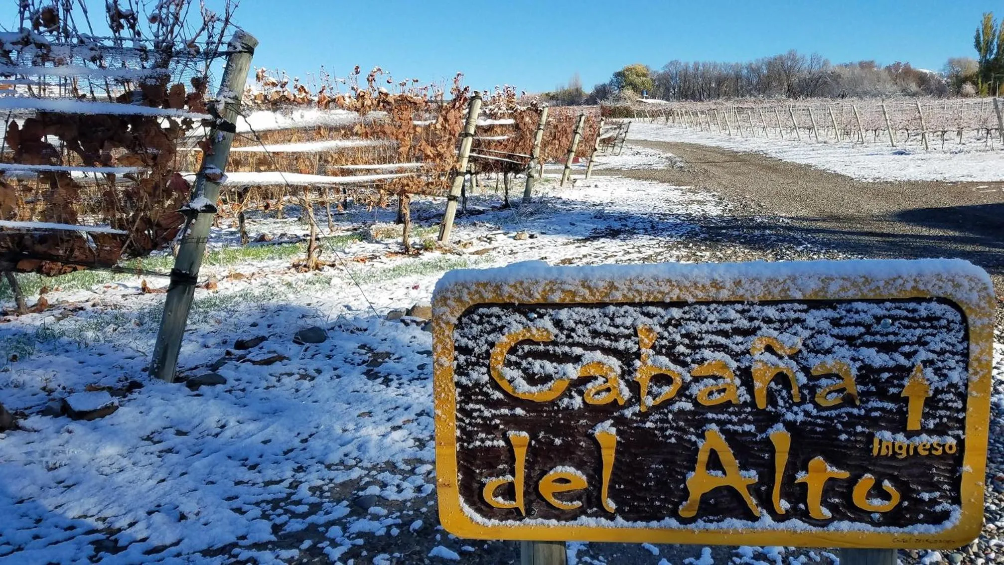 Winter in Cabaña del Alto Tupungato