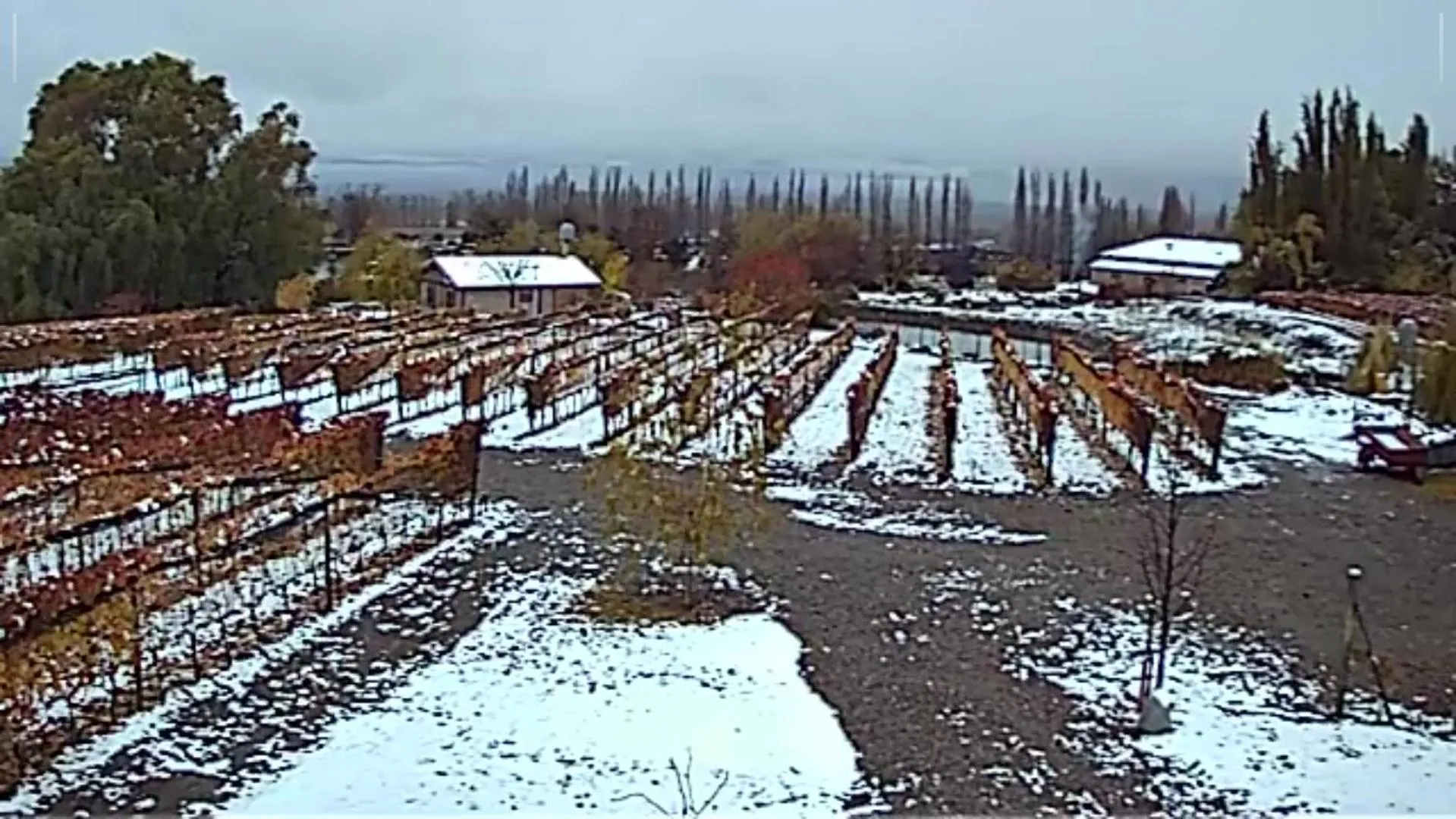 Winter in Cabaña del Alto Tupungato