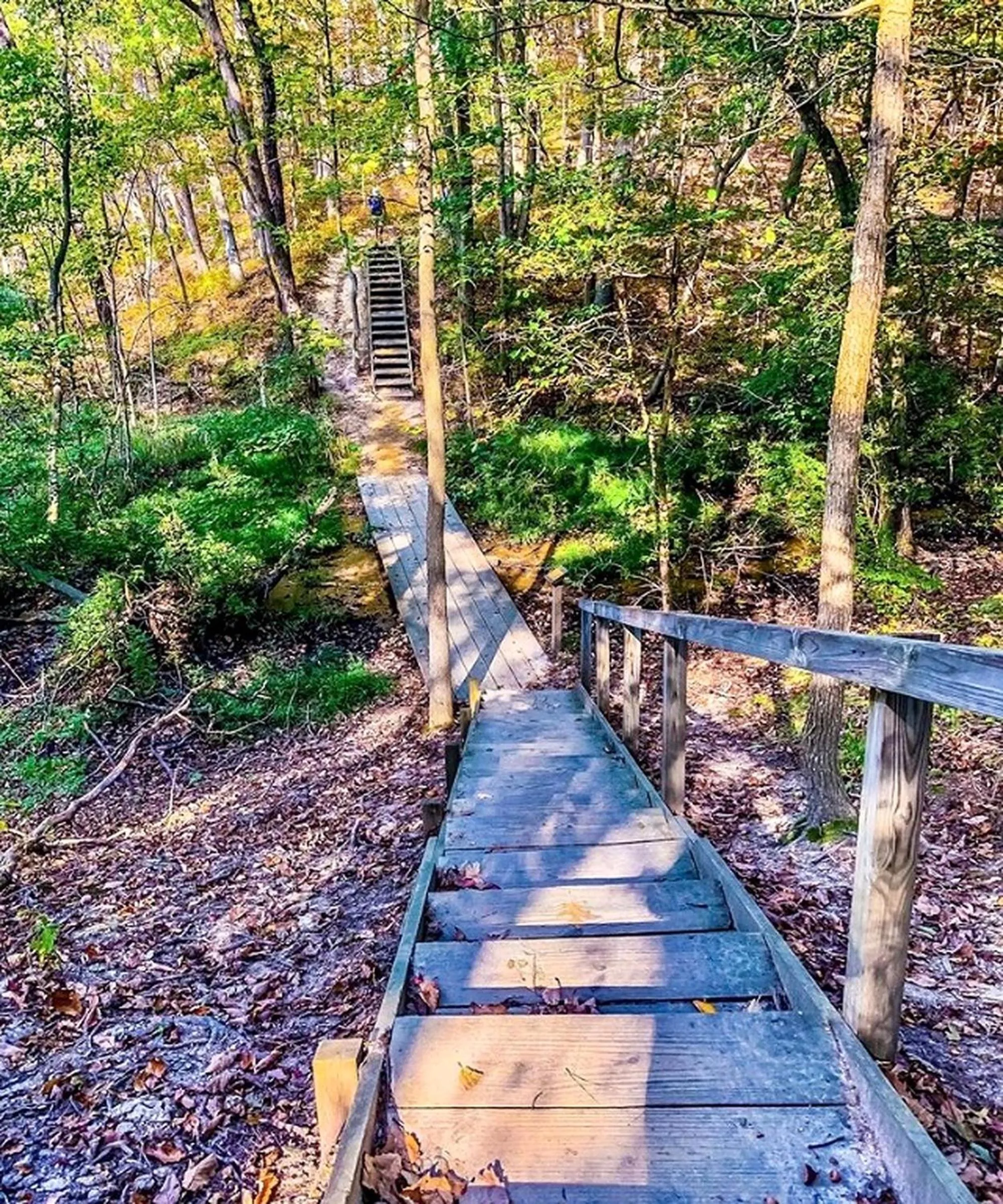 Natural landscape in Interhotel America