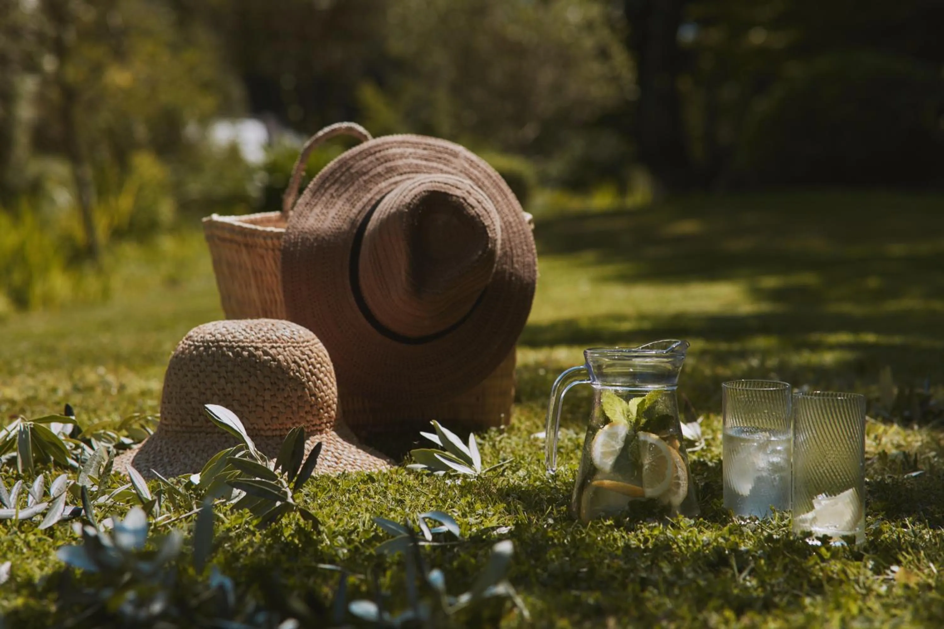 Garden in Fermain Valley Hotel