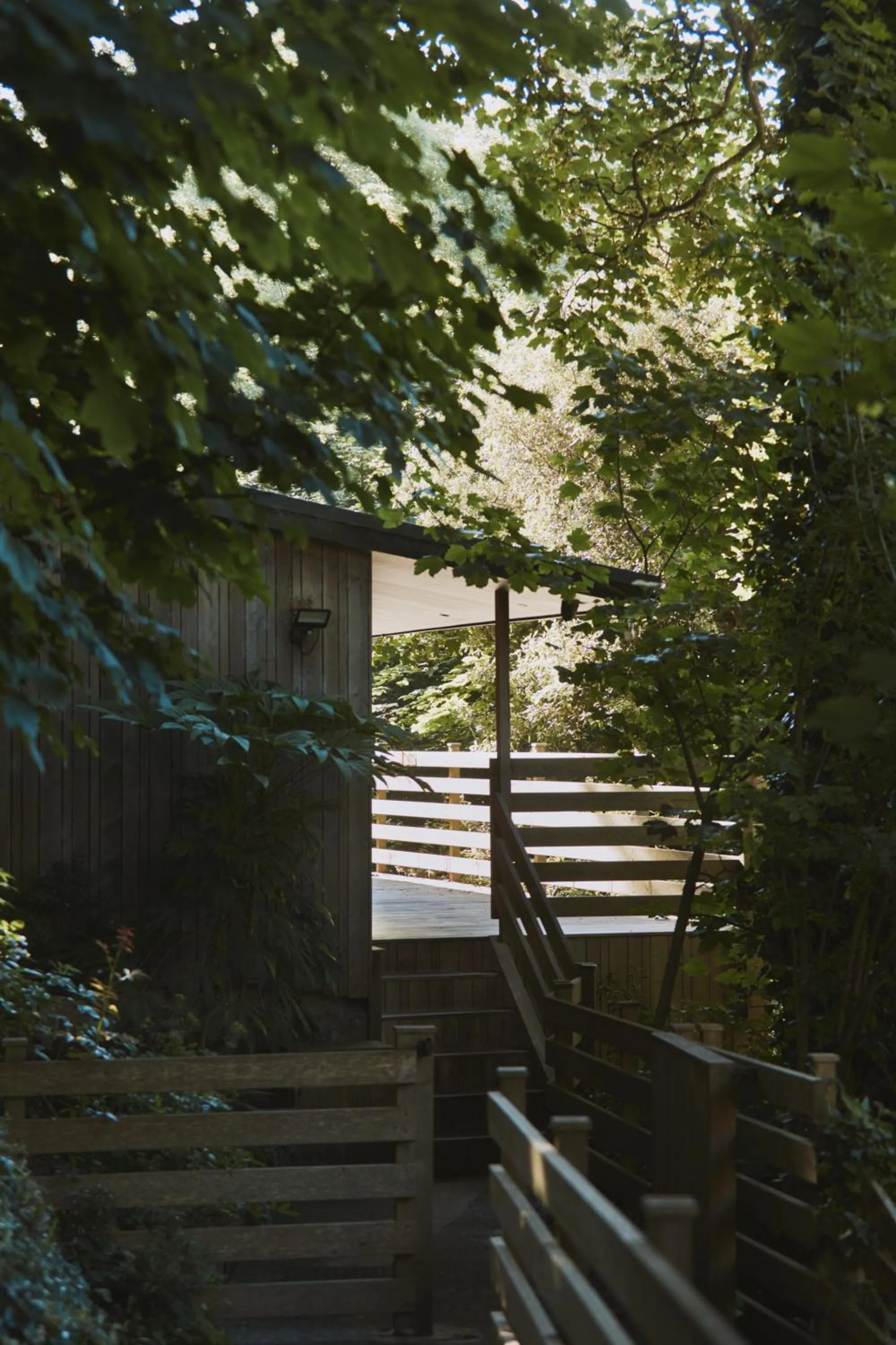 Garden in Fermain Valley Hotel