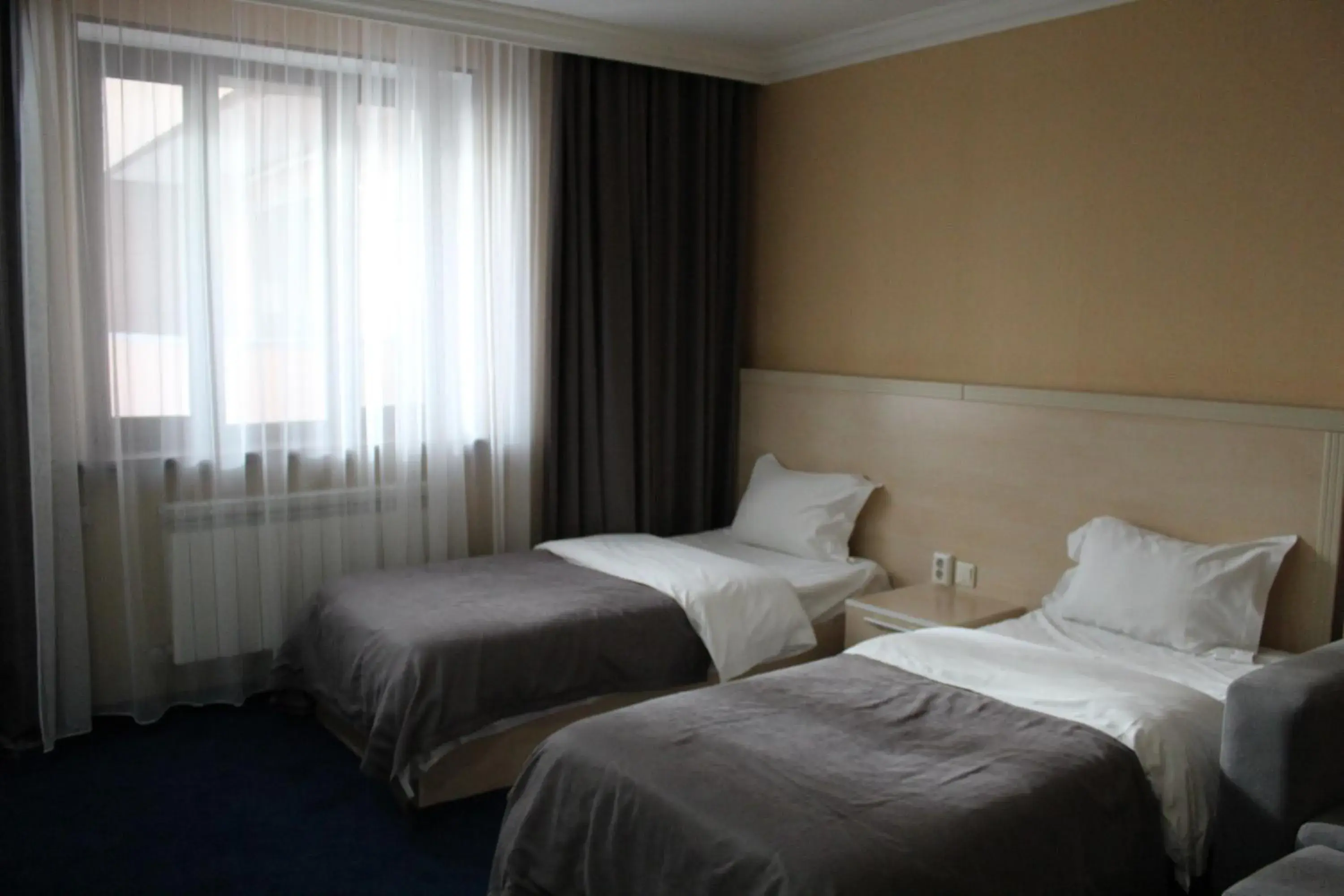 Standard Twin Room in King Hotel Astana Standard Twin Room in King Hotel Astana