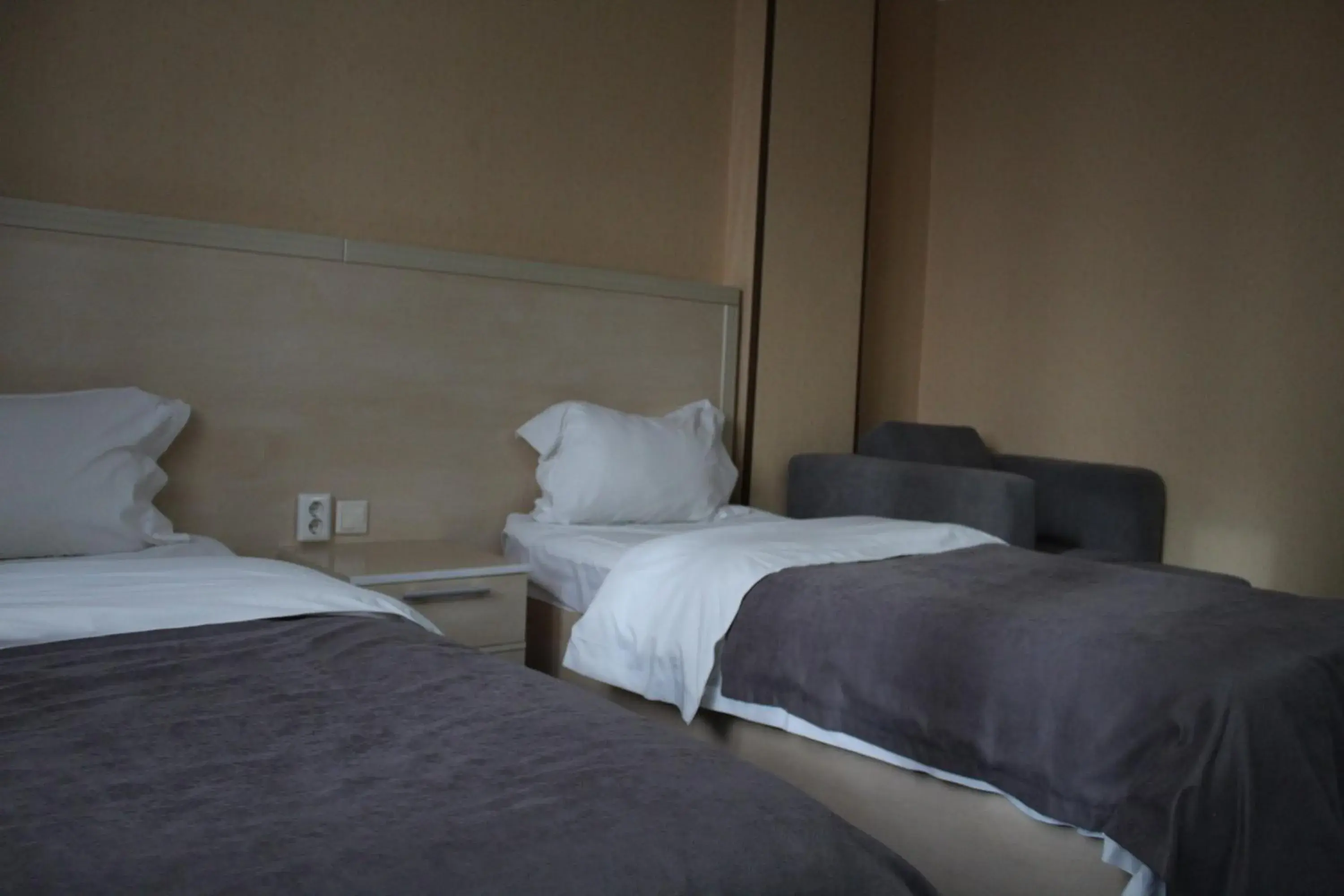 Standard Twin Room in King Hotel Astana Standard Twin Room in King Hotel Astana