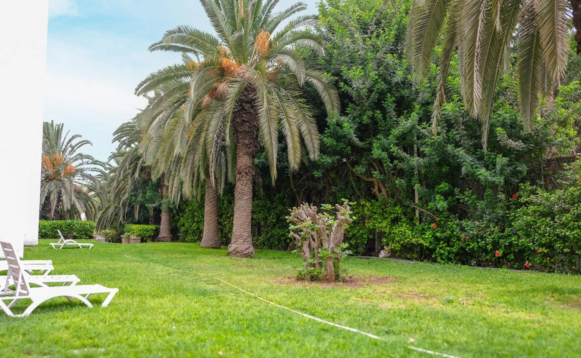 Garden in HAMILTON Agadir