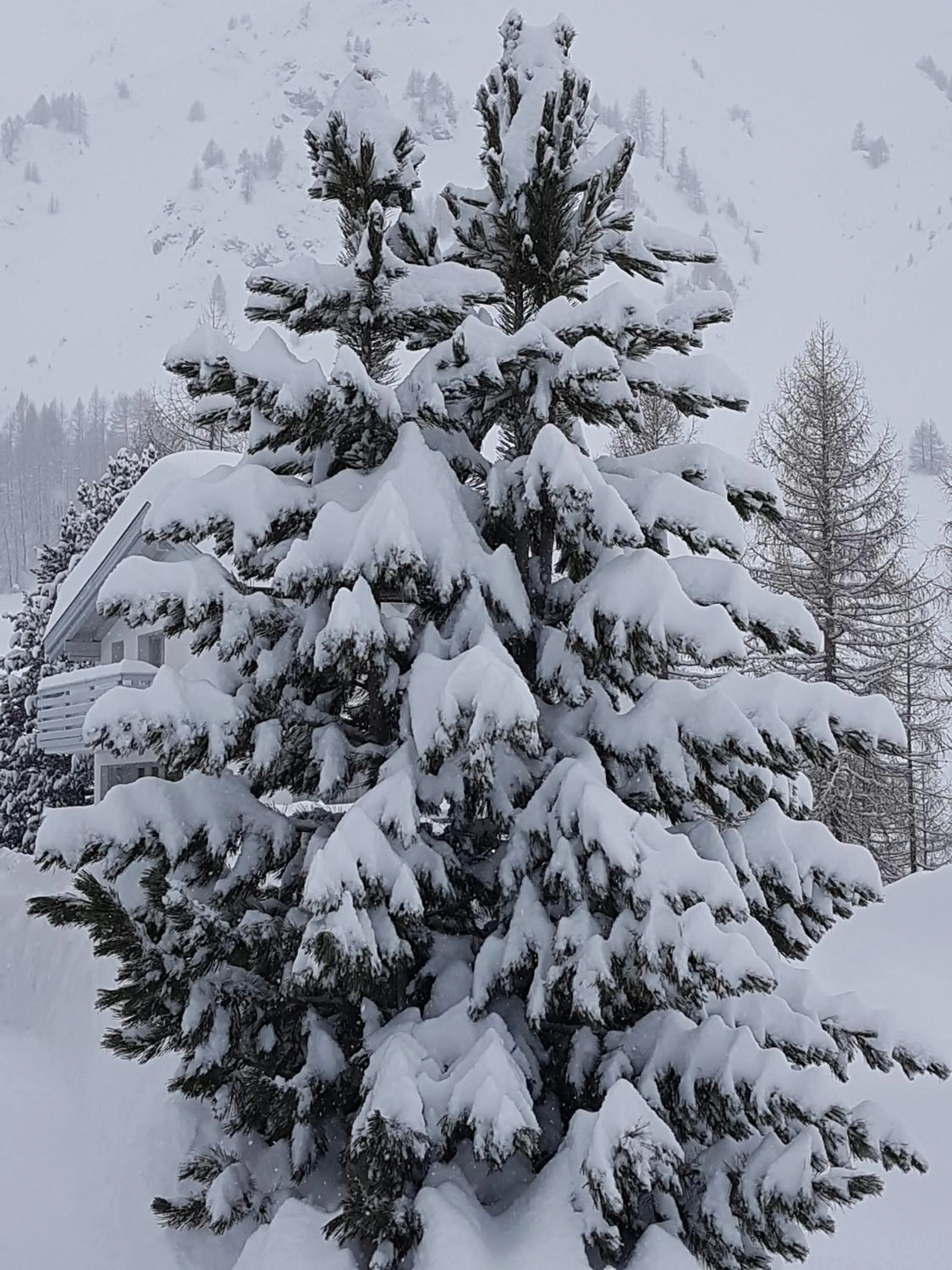 Other in Apart-Garni Motnaida