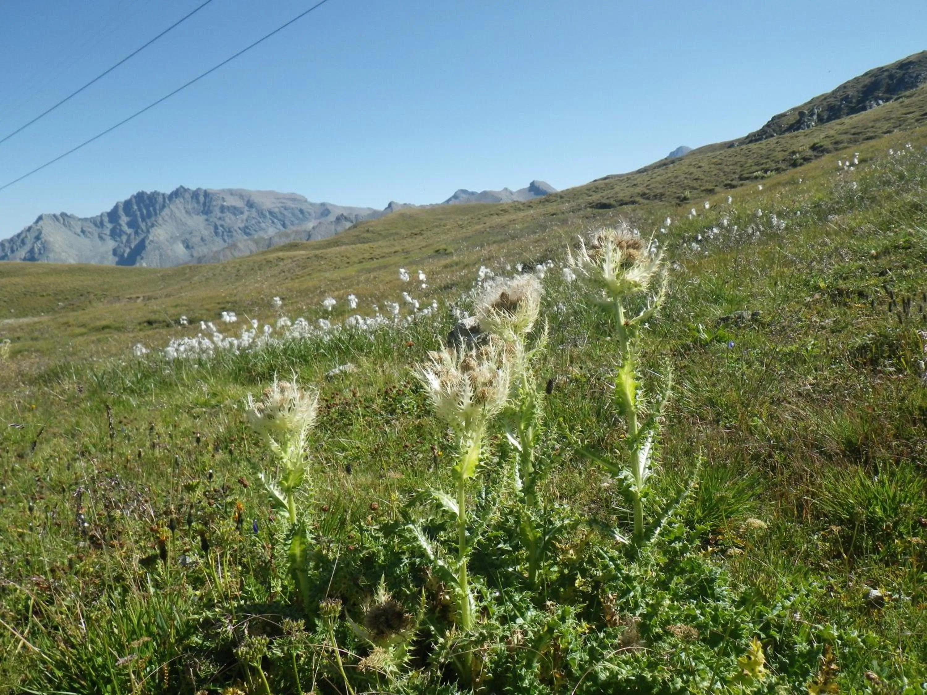 Natural landscape in Apart-Garni Motnaida