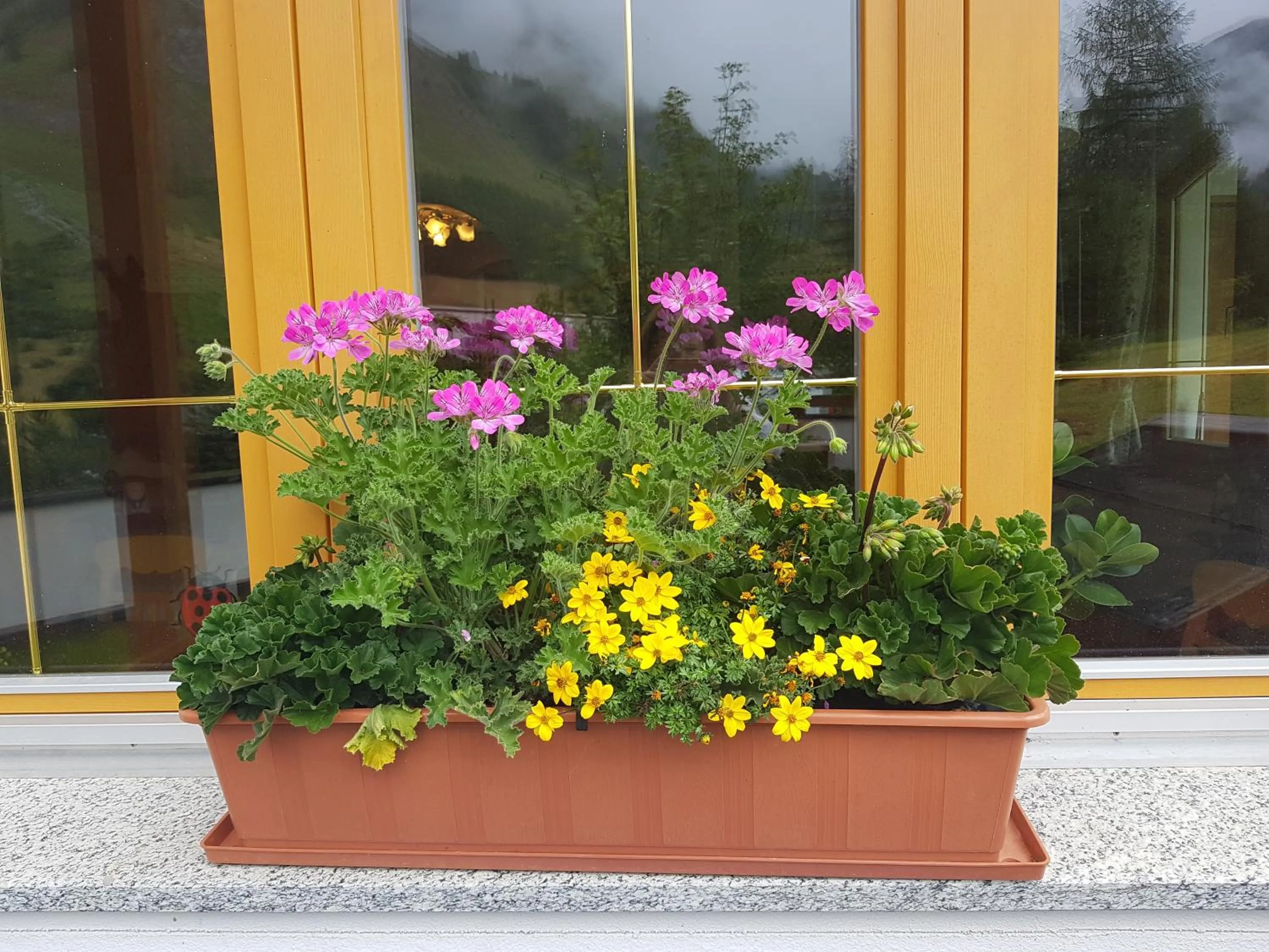 Garden in Apart-Garni Motnaida