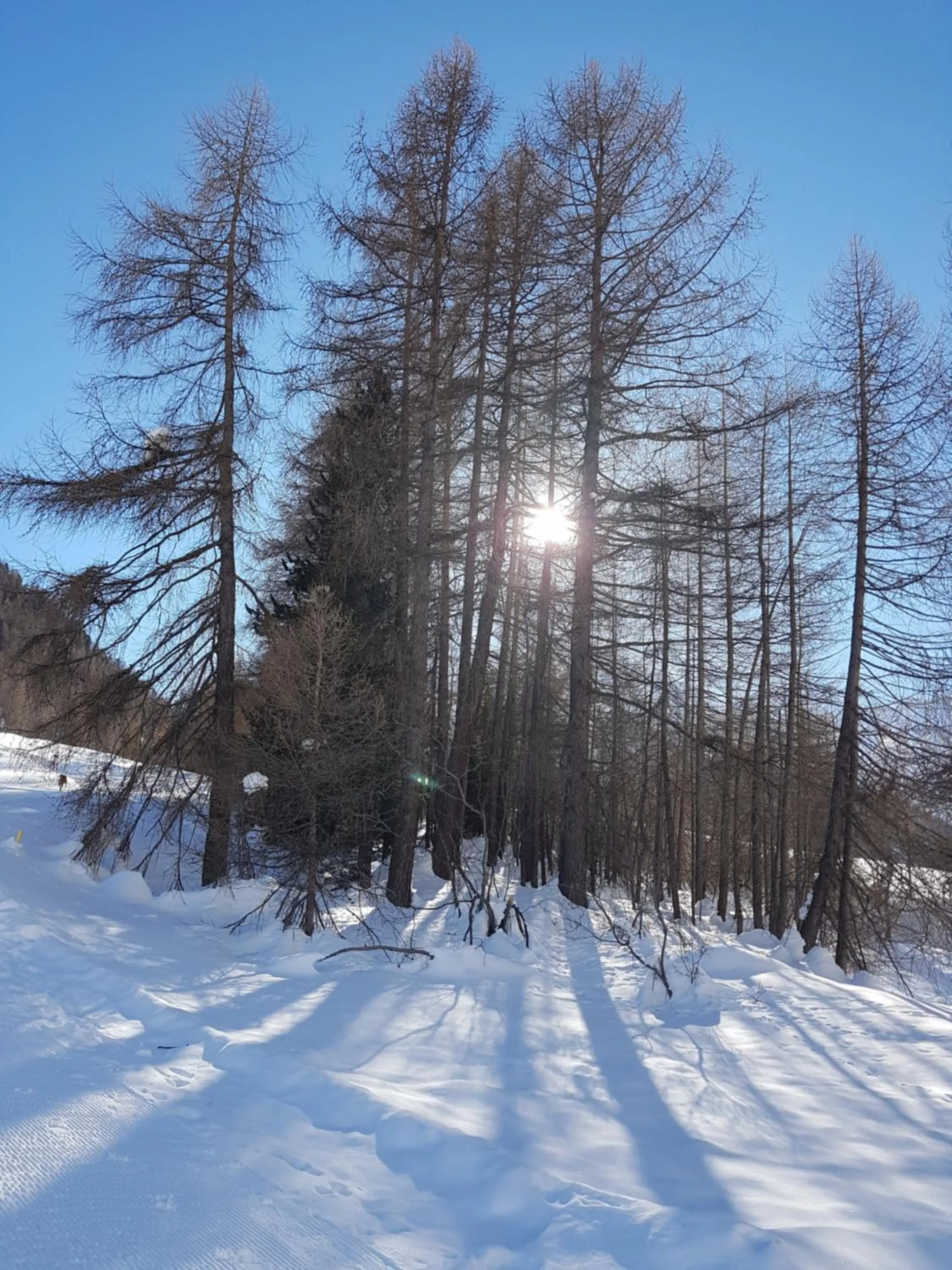 Natural landscape in Apart-Garni Motnaida