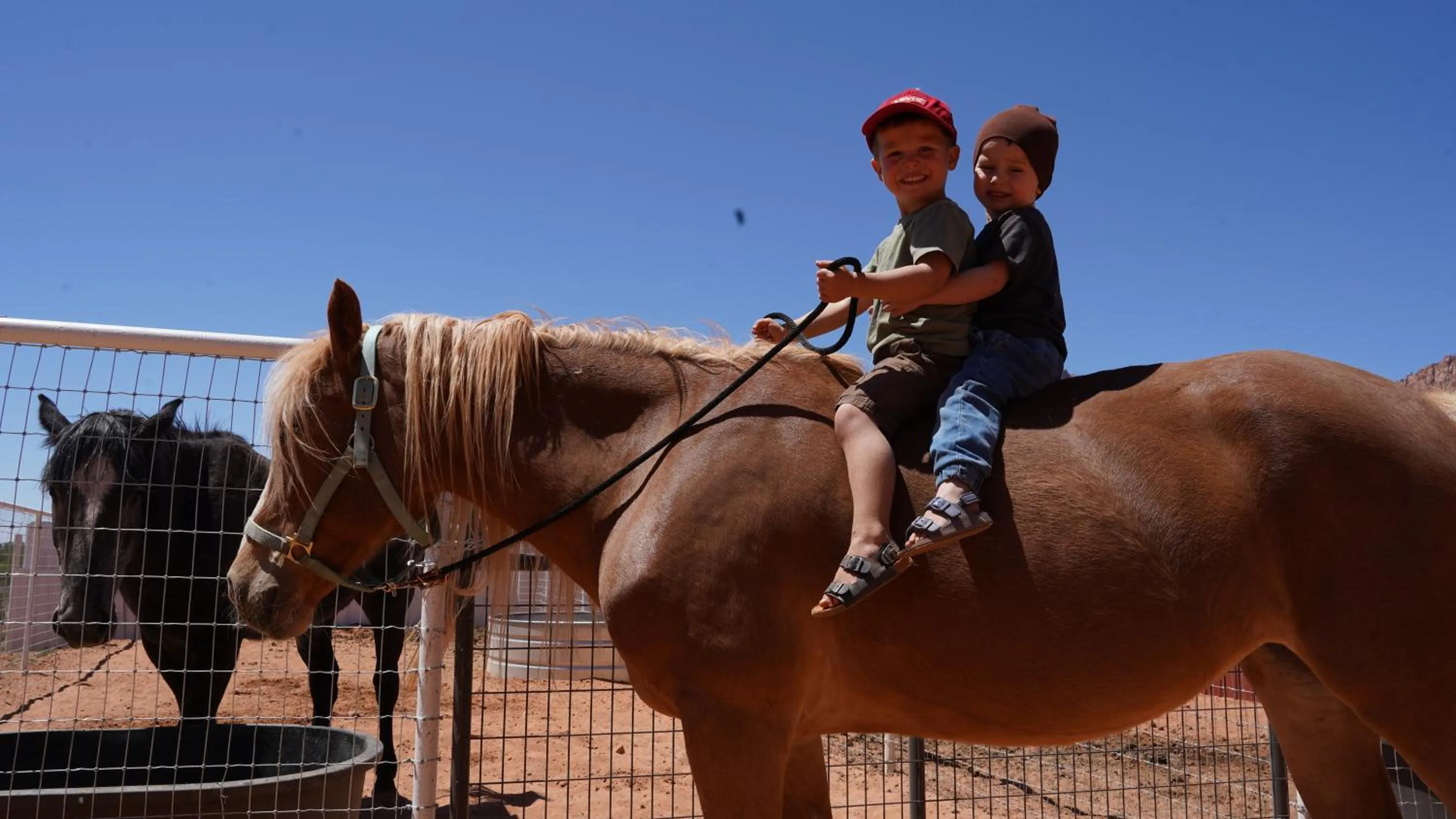 Horse-riding in Zion View Camping