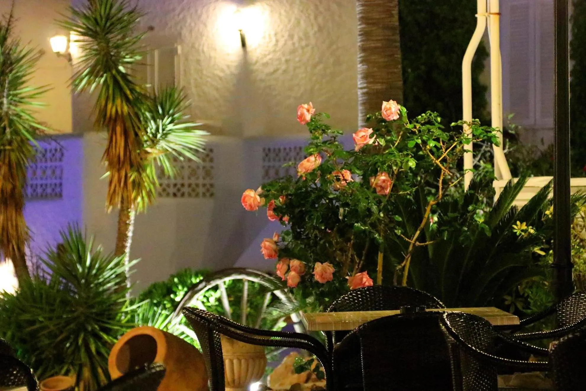 Garden in Villa Columbus Rooms and Restaurant