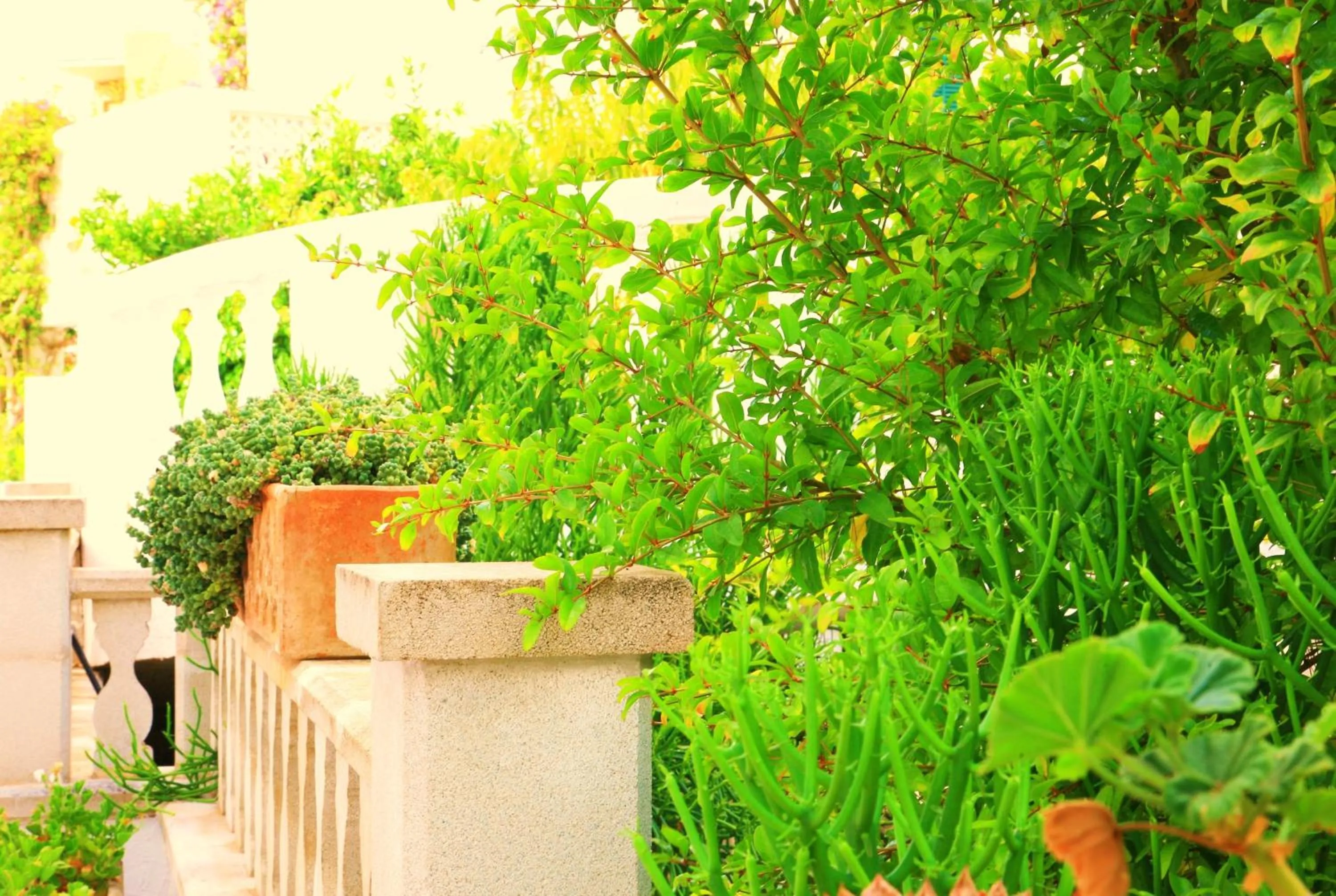 Garden in Villa Columbus Rooms and Restaurant