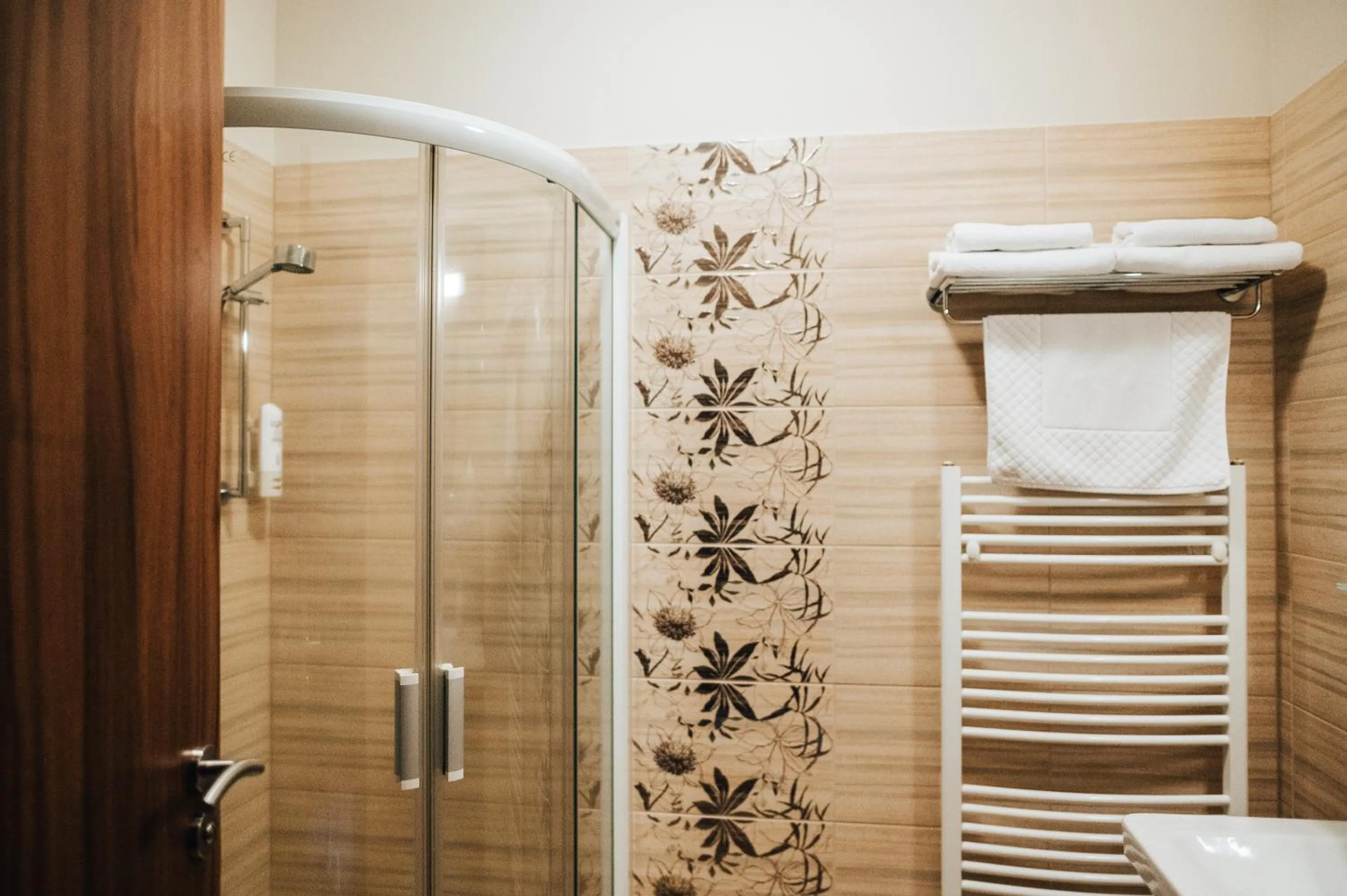 Shower in Hotel Elegance