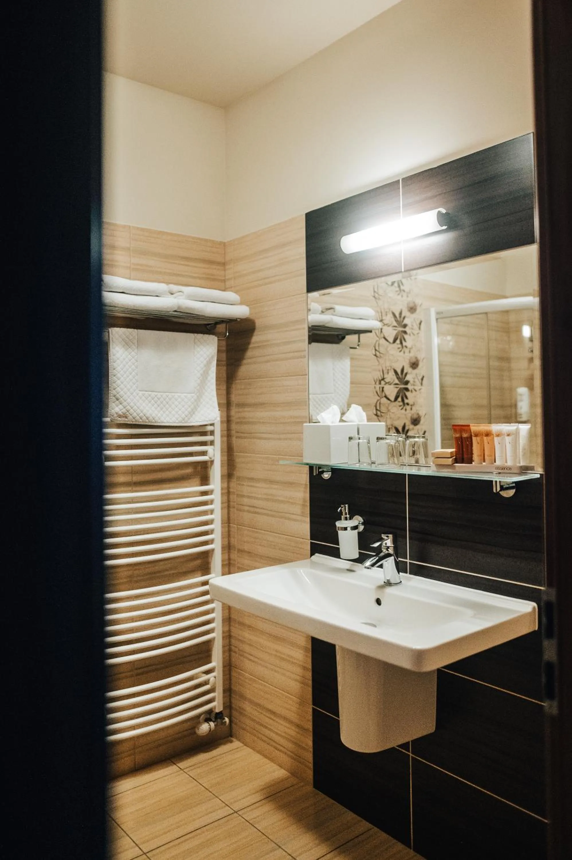Bathroom in Hotel Elegance