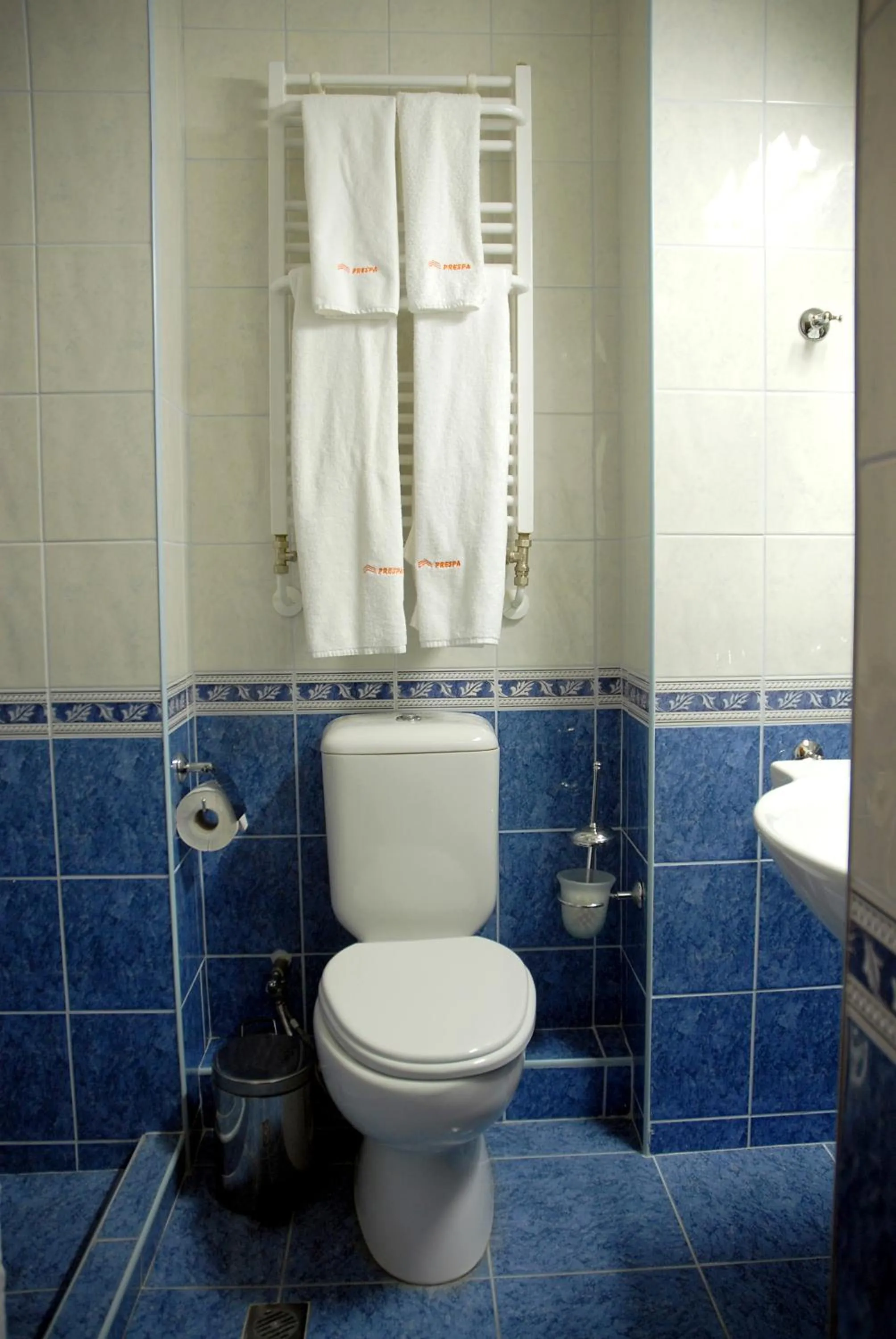 Shower in Hotel Prespa